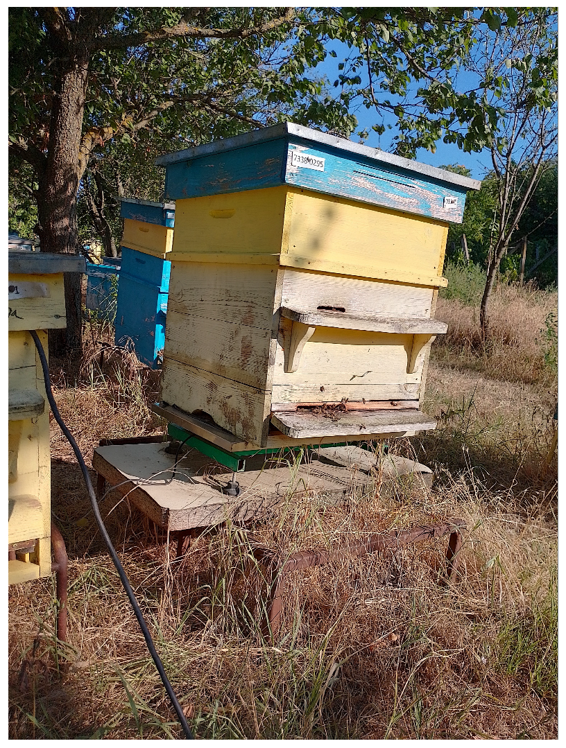 Diversity 16 00578 g012