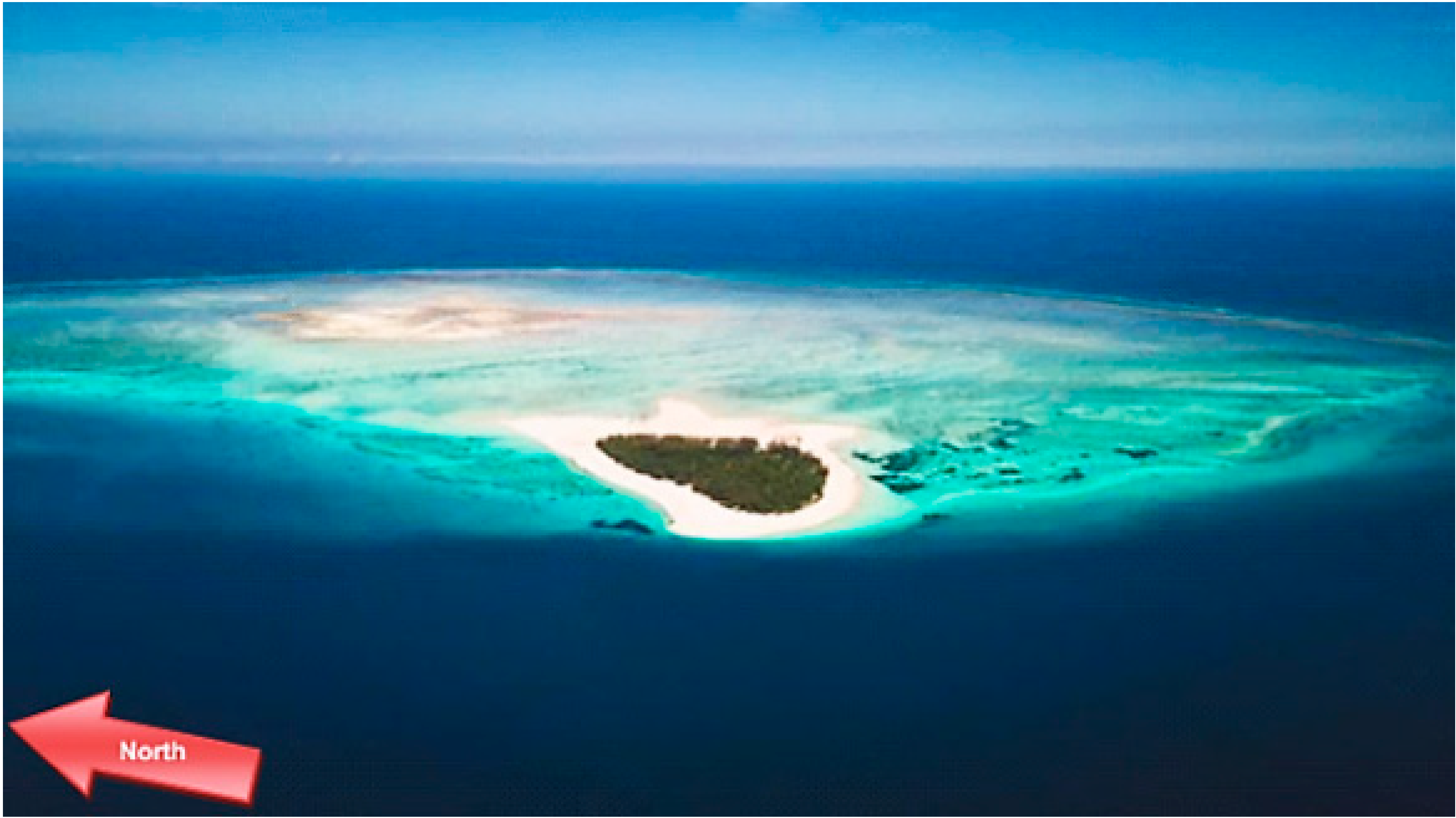 Diversity 16 00579 g002