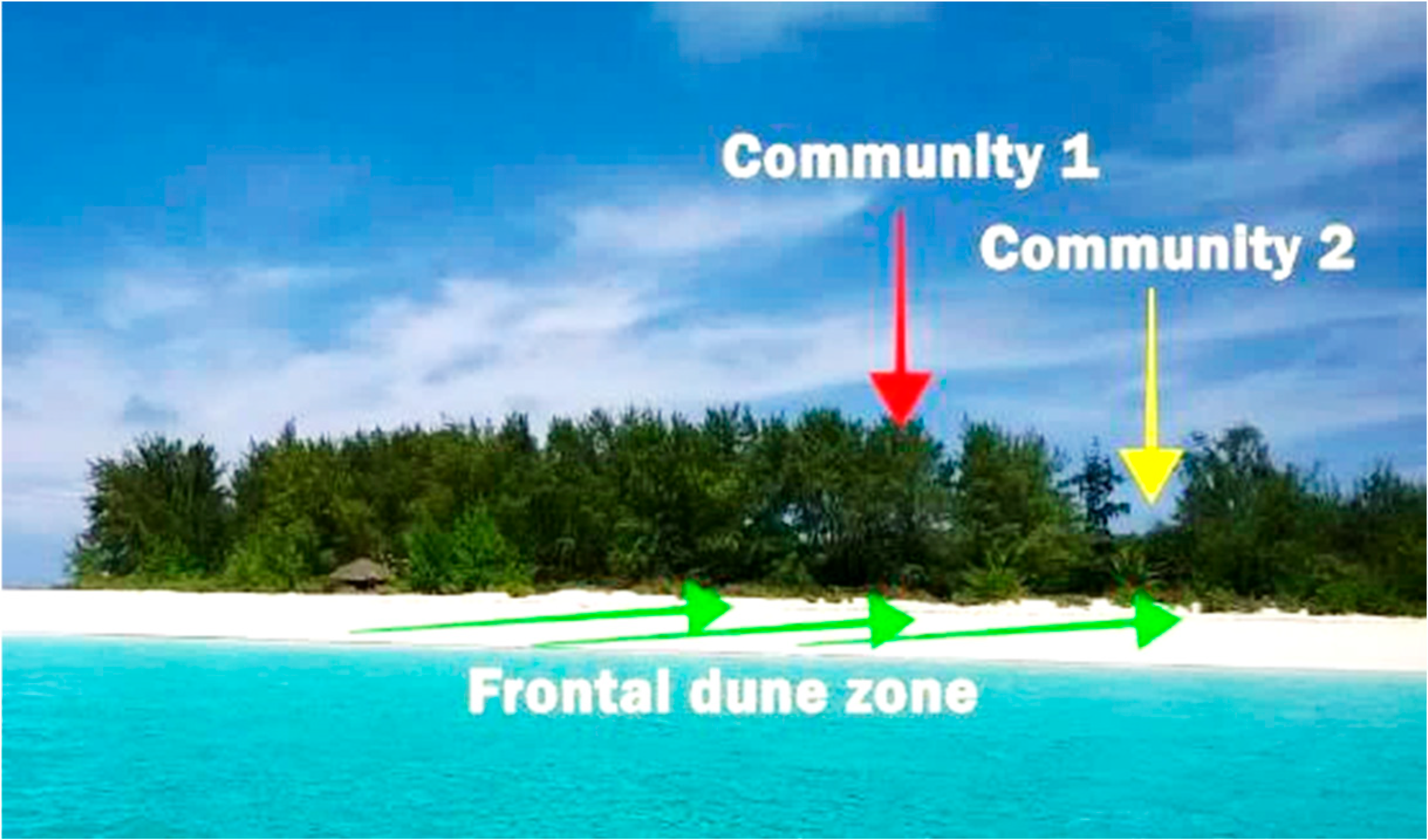 Diversity 16 00579 g005