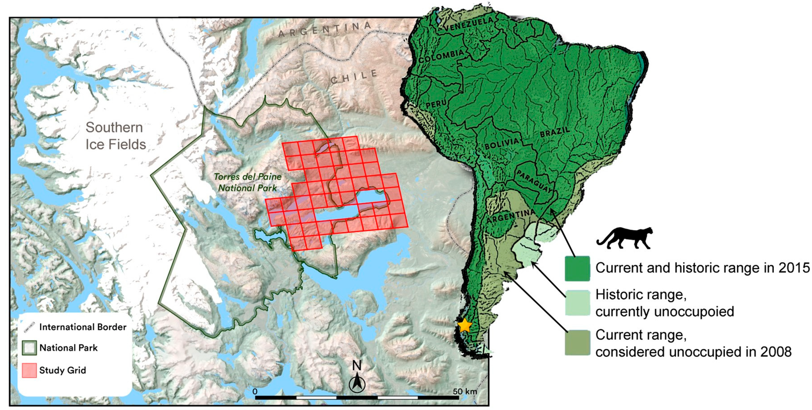 Diversity 16 00581 g001