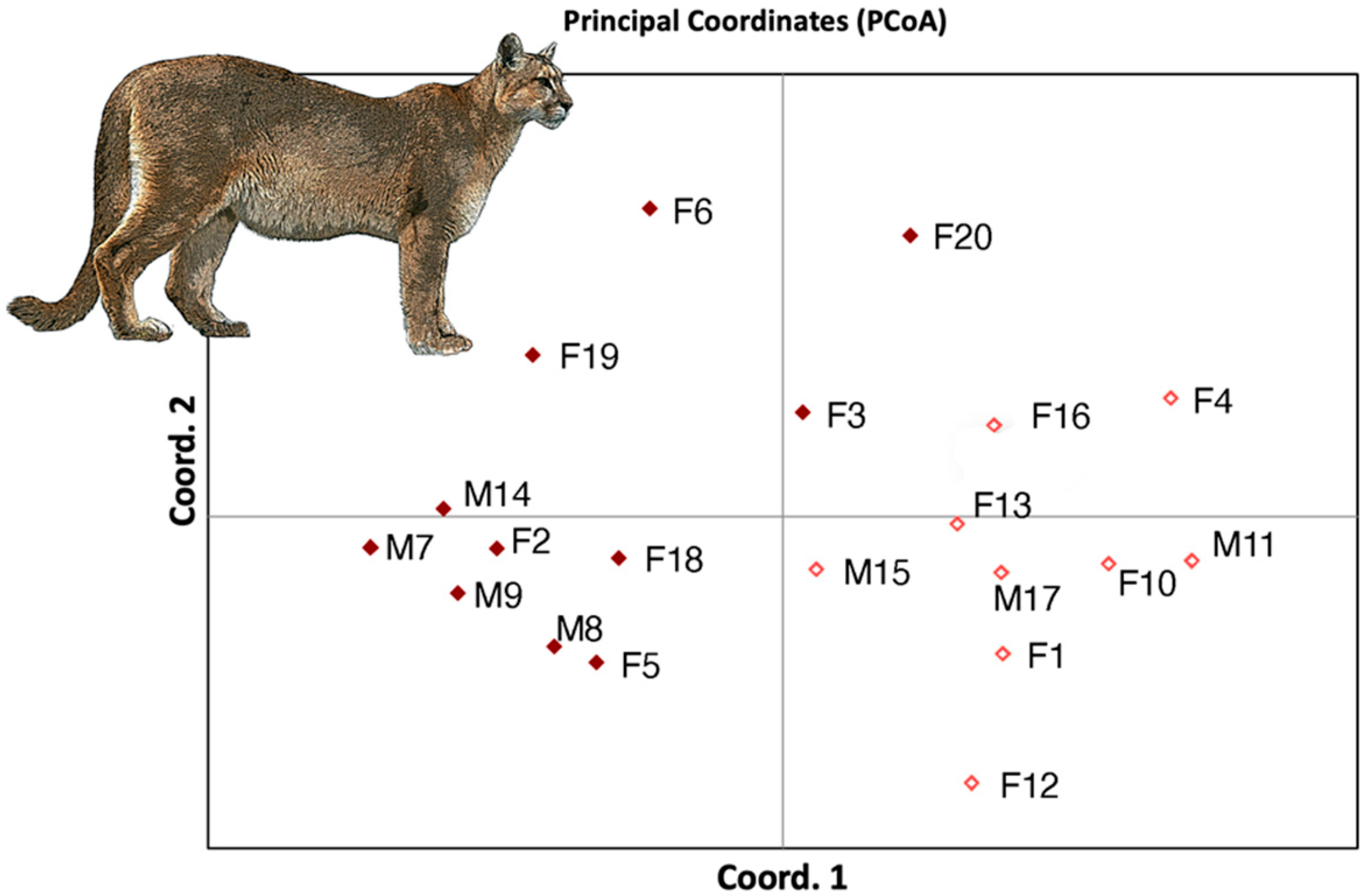 Diversity 16 00581 g003