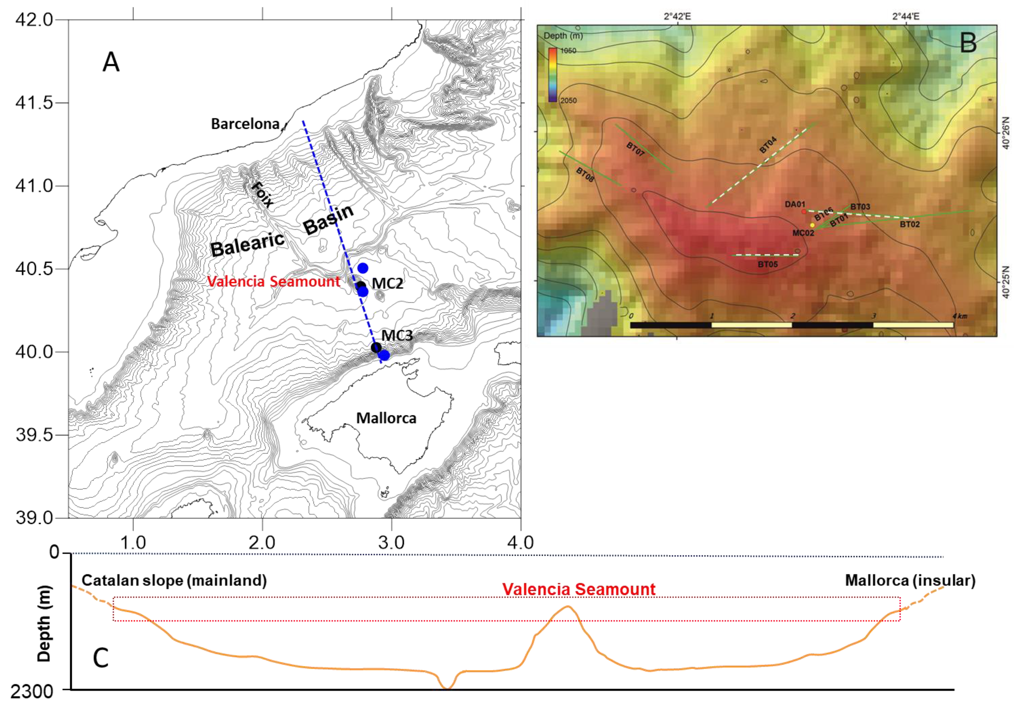 Diversity 16 00582 g001