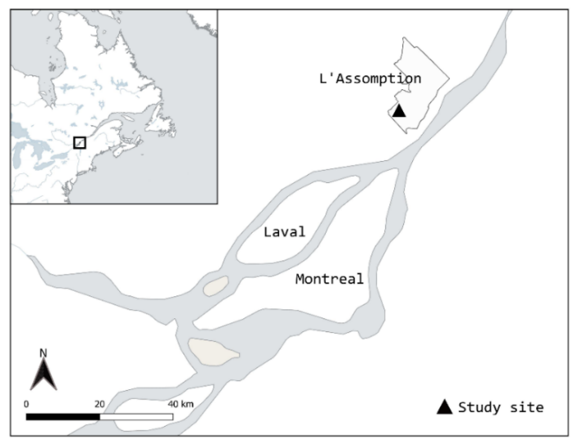 Diversity 16 00584 g001 Diversity 16 00584 g001