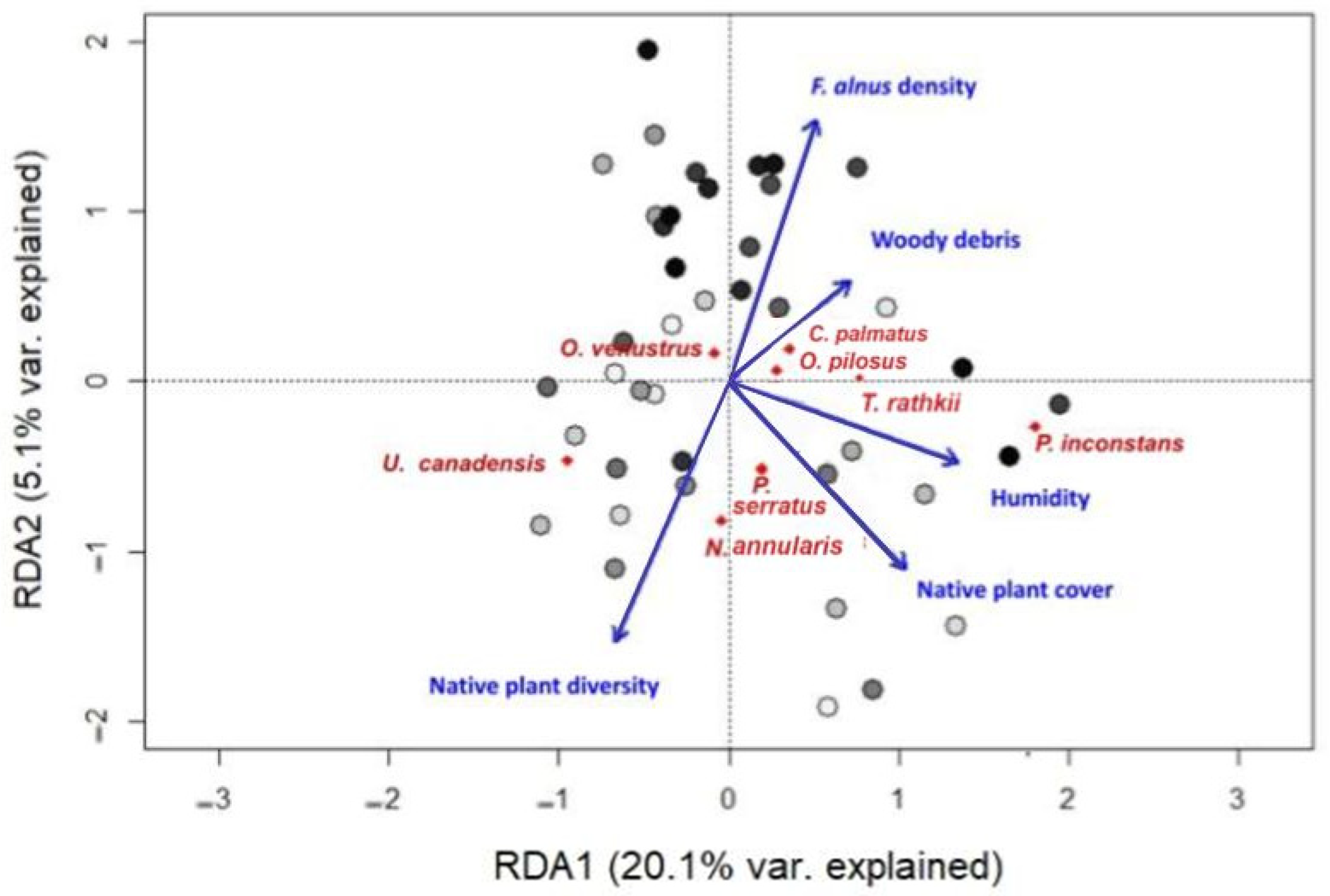 Diversity 16 00584 g003 Diversity 16 00584 g003