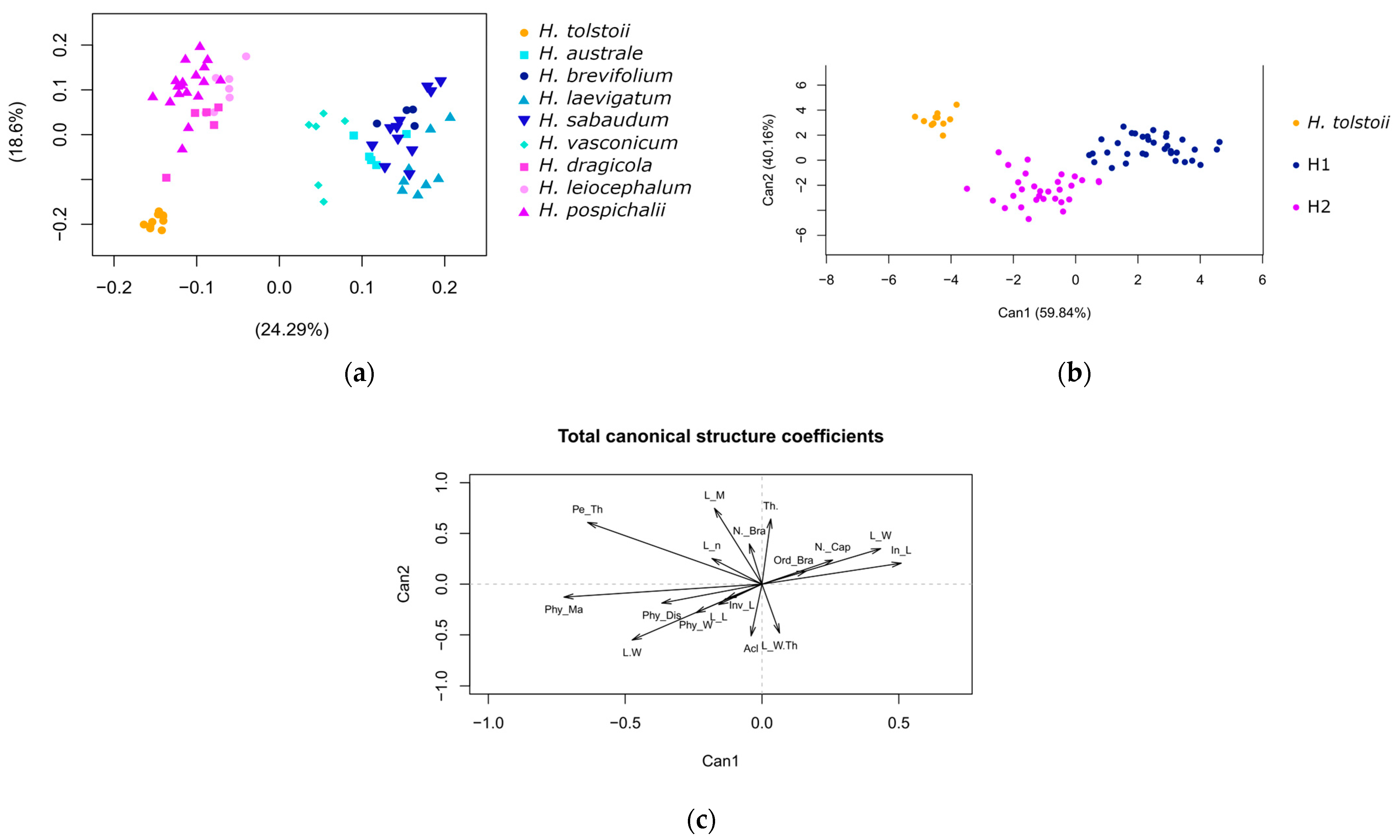 Diversity 16 00591 g001