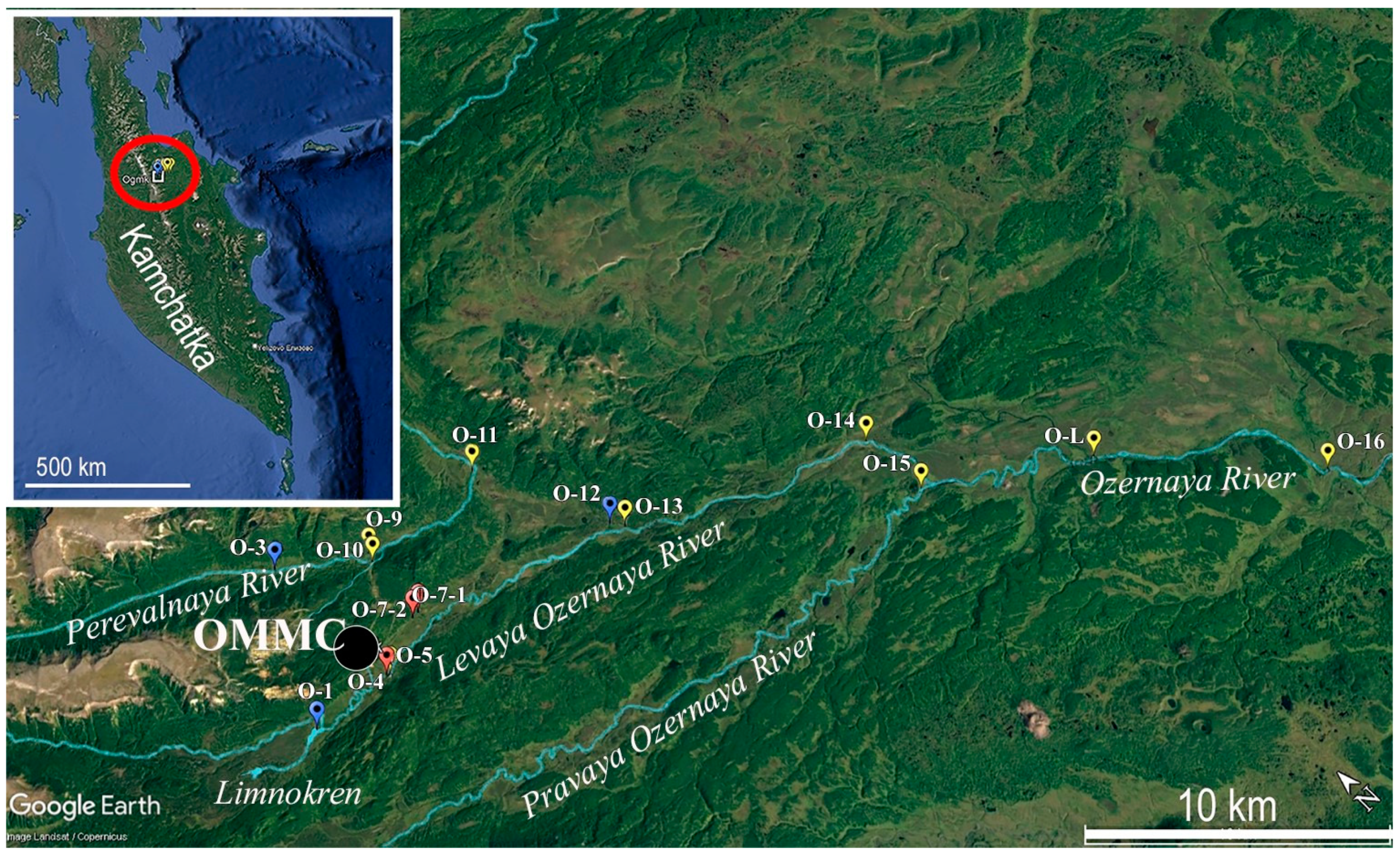 Diversity 16 00592 g001