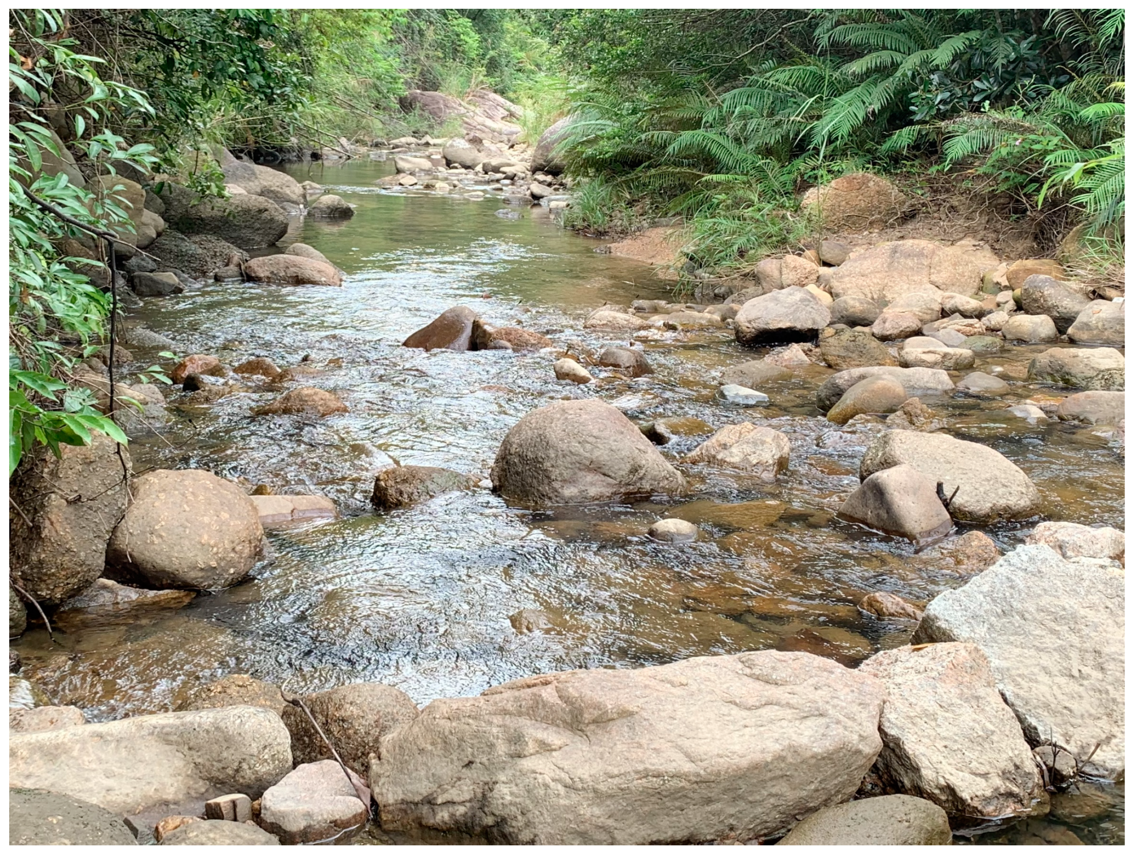 Diversity 16 00596 g006