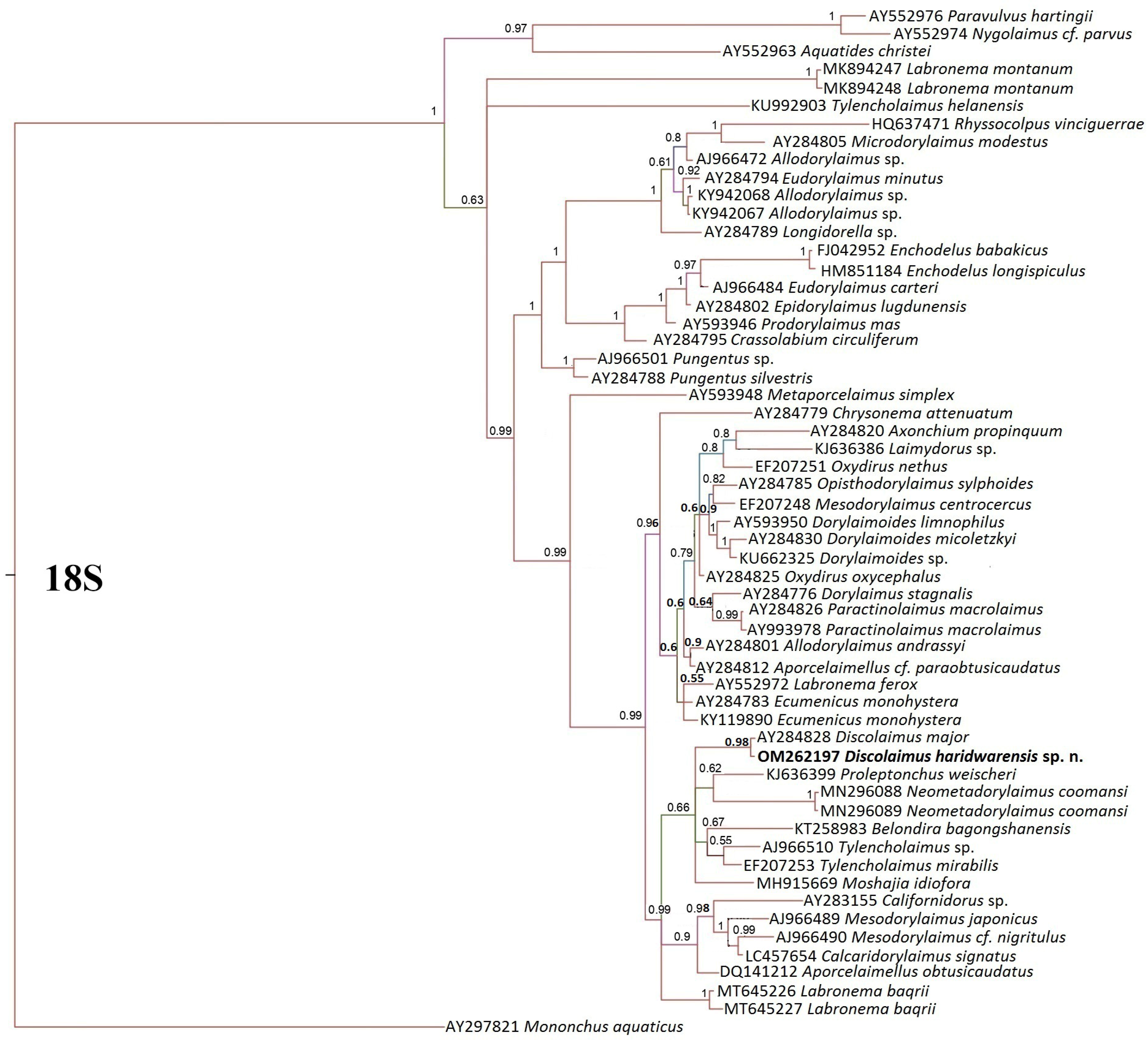 Diversity 16 00598 g004