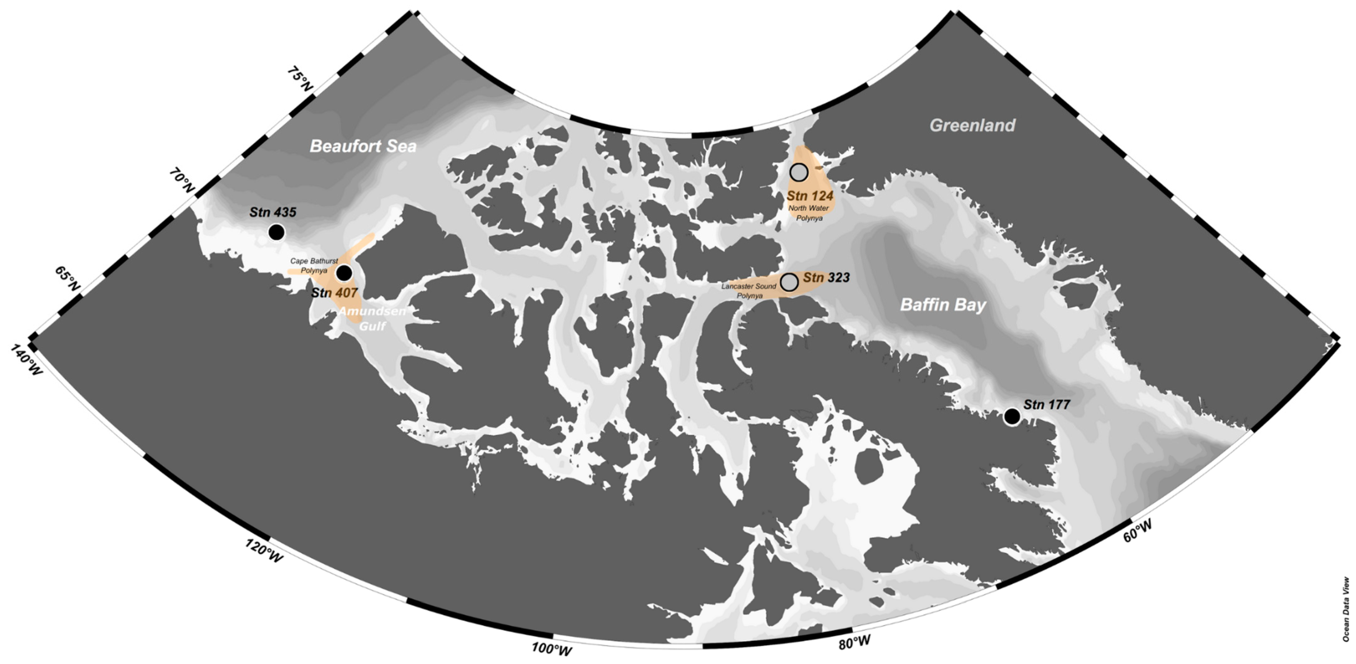 Diversity 16 00605 g001