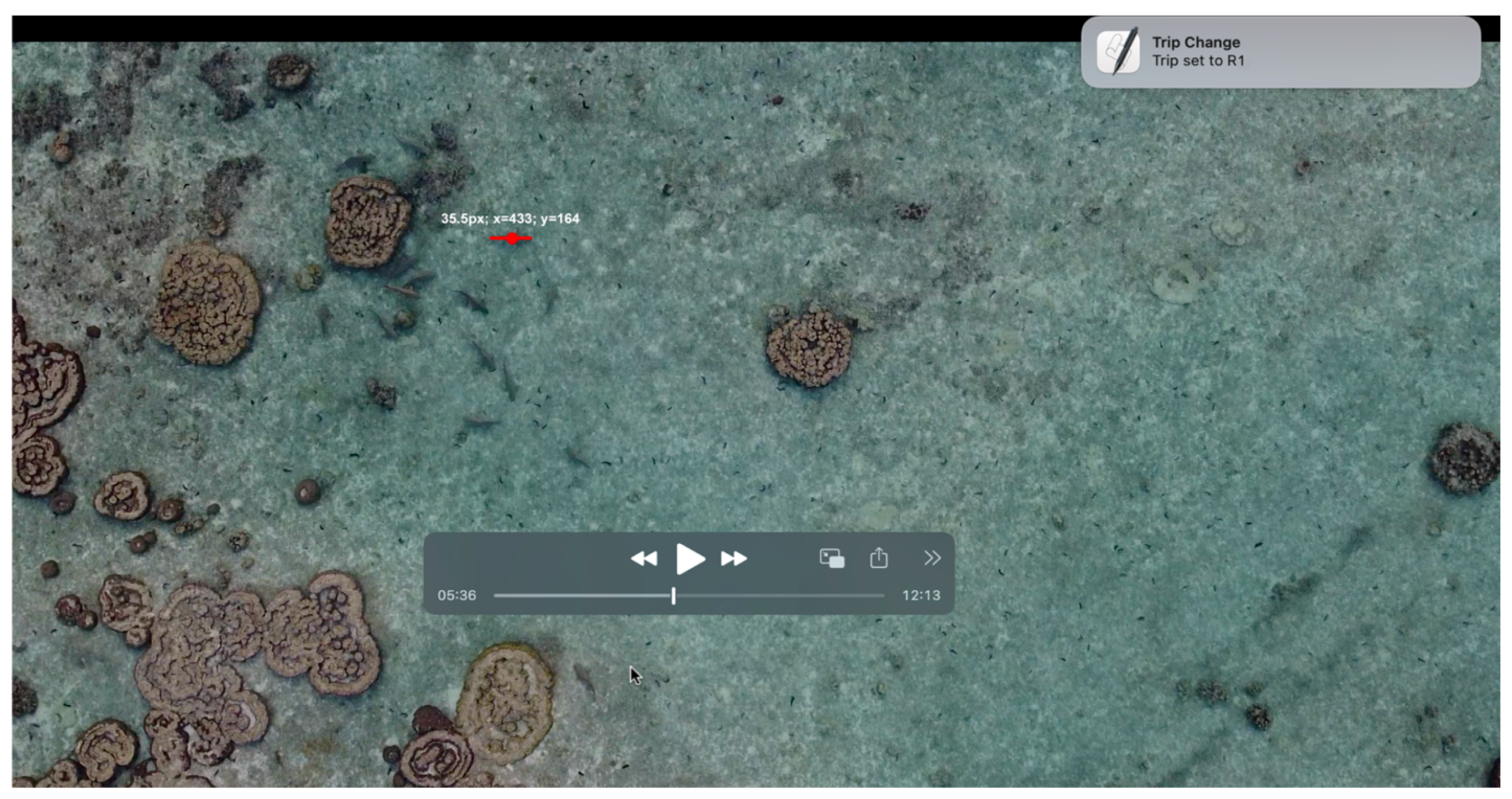 Diversity 16 00606 g002 Diversity 16 00606 g002