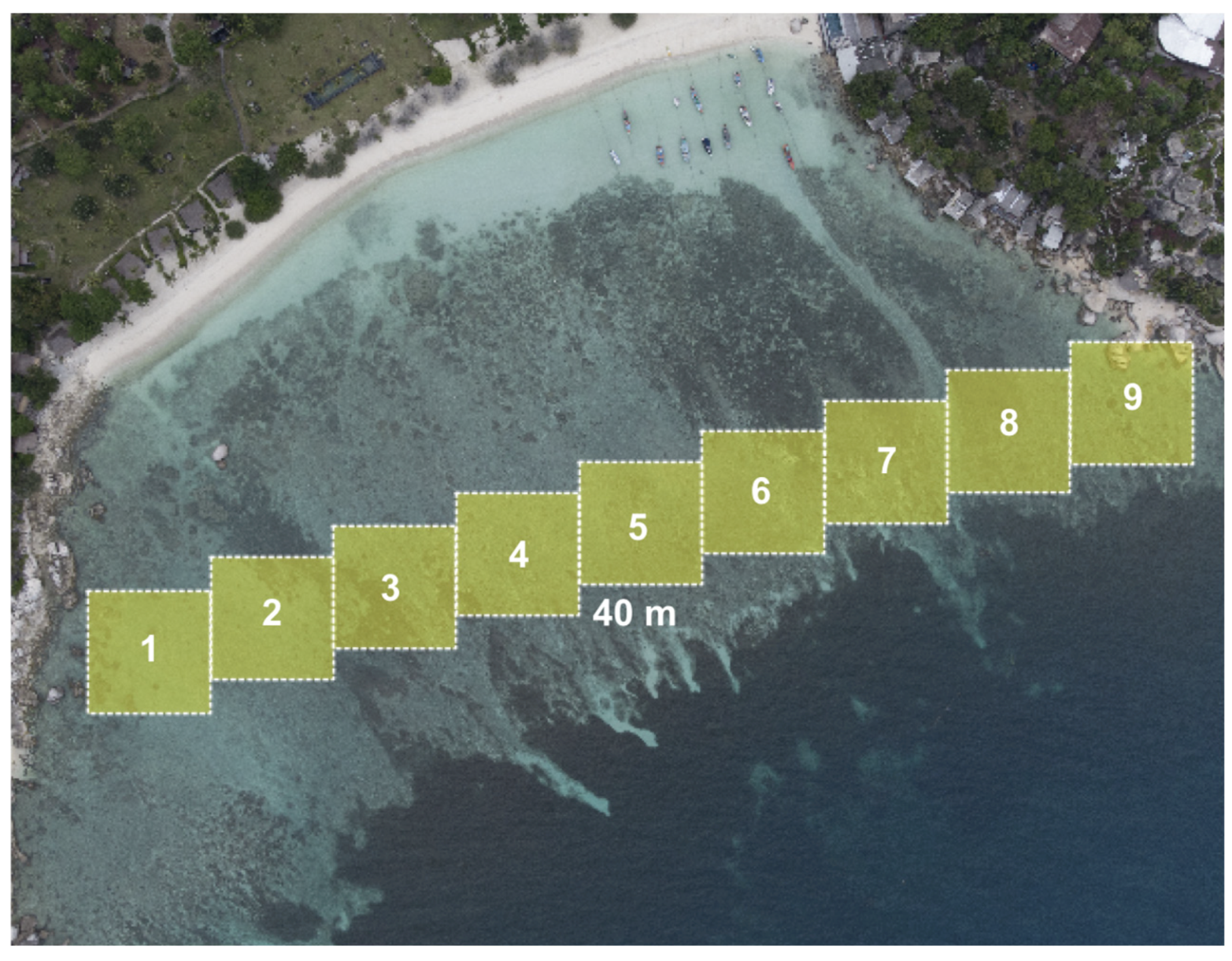 Diversity 16 00606 g003 Diversity 16 00606 g003