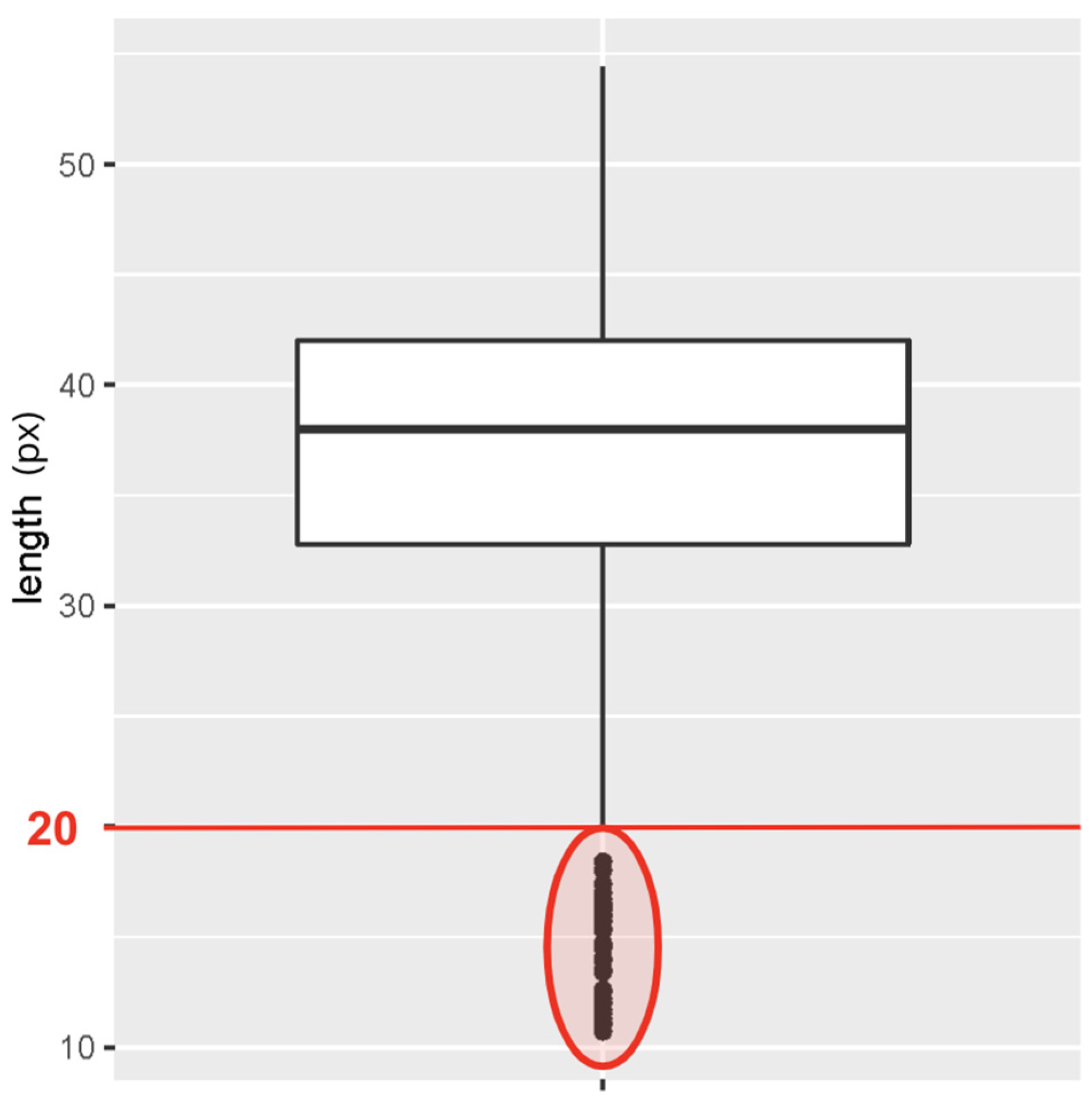 Diversity 16 00606 g005 Diversity 16 00606 g005