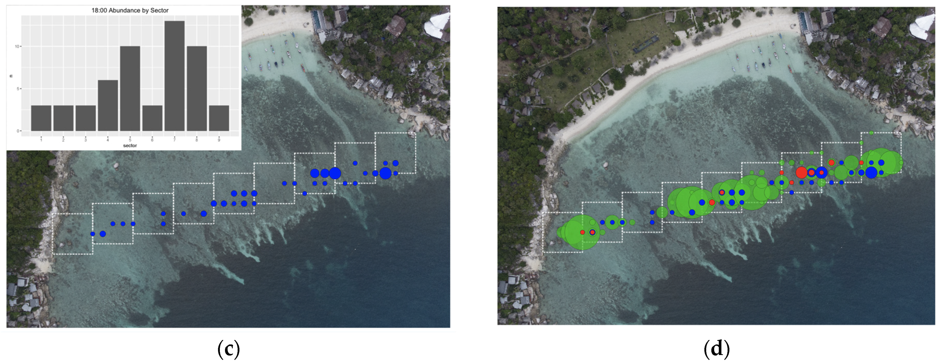 Diversity 16 00606 g012b Diversity 16 00606 g012b