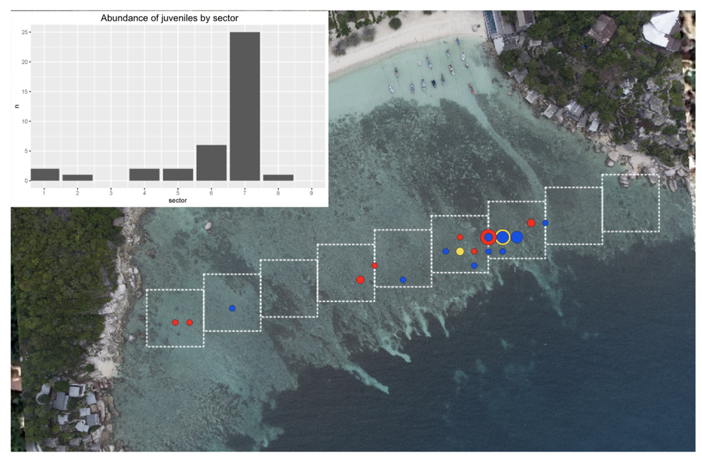 Diversity 16 00606 g014 Diversity 16 00606 g014