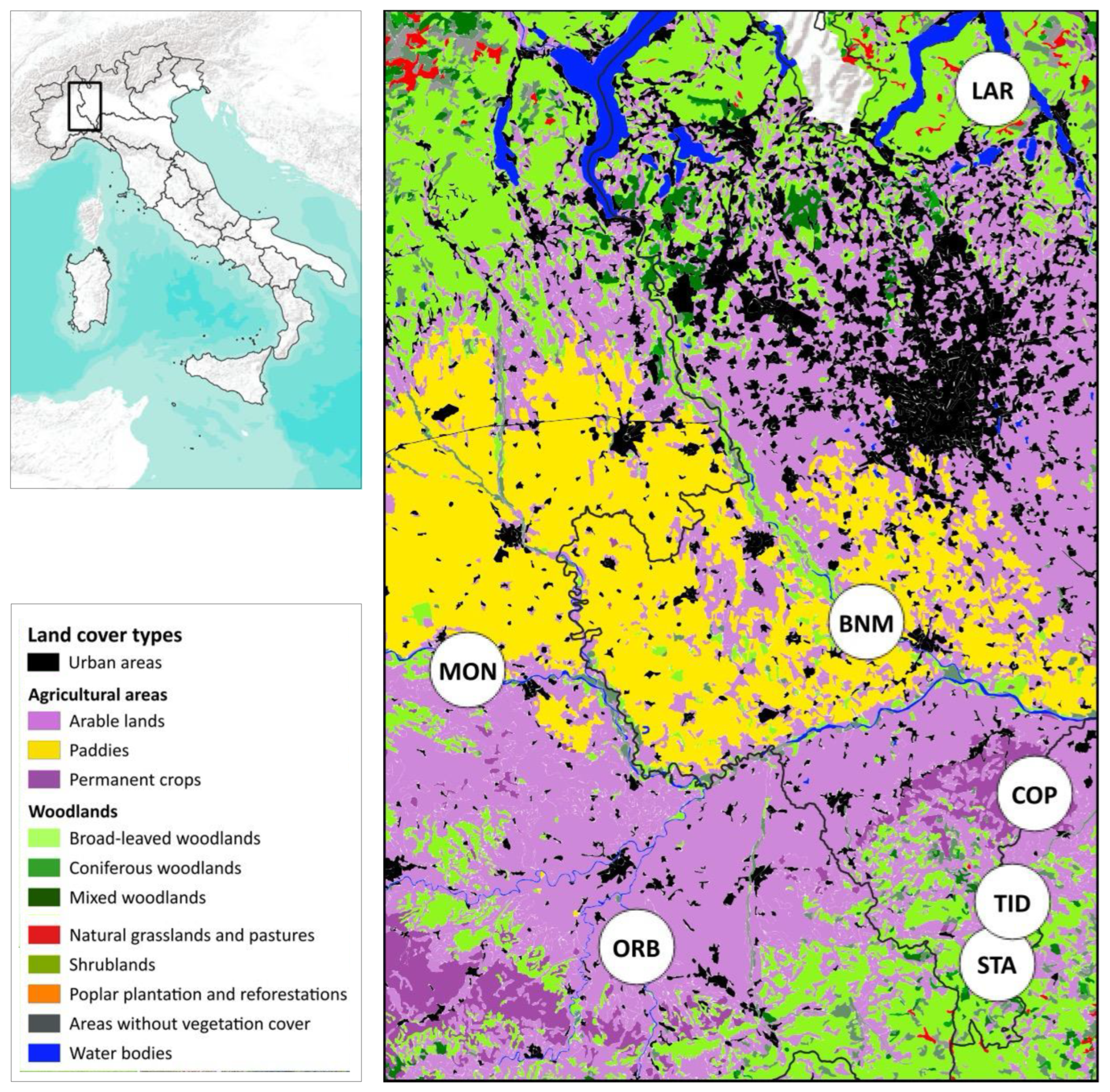 Diversity 16 00607 g001