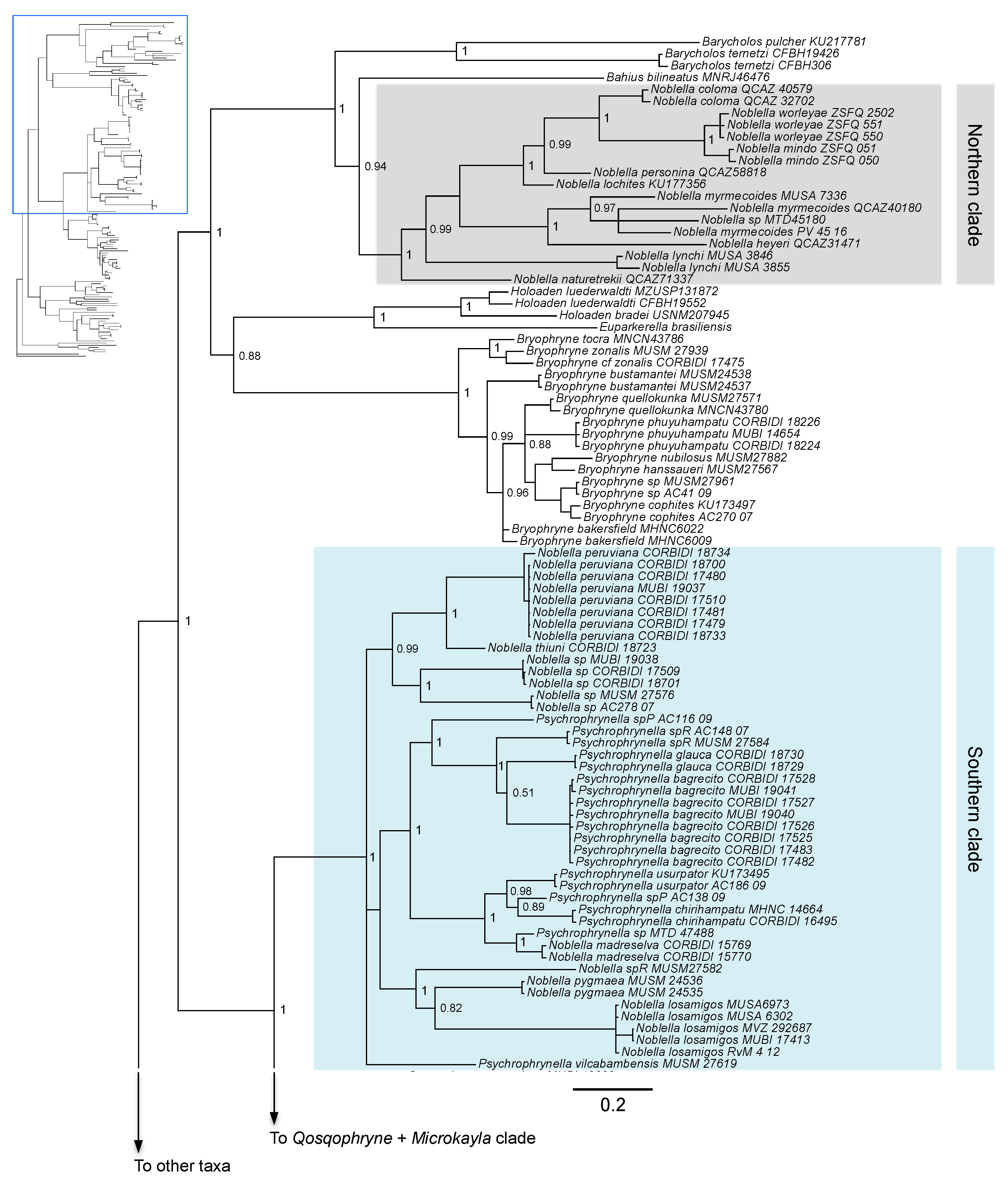 Diversity 16 00613 g001a Diversity 16 00613 g001a
