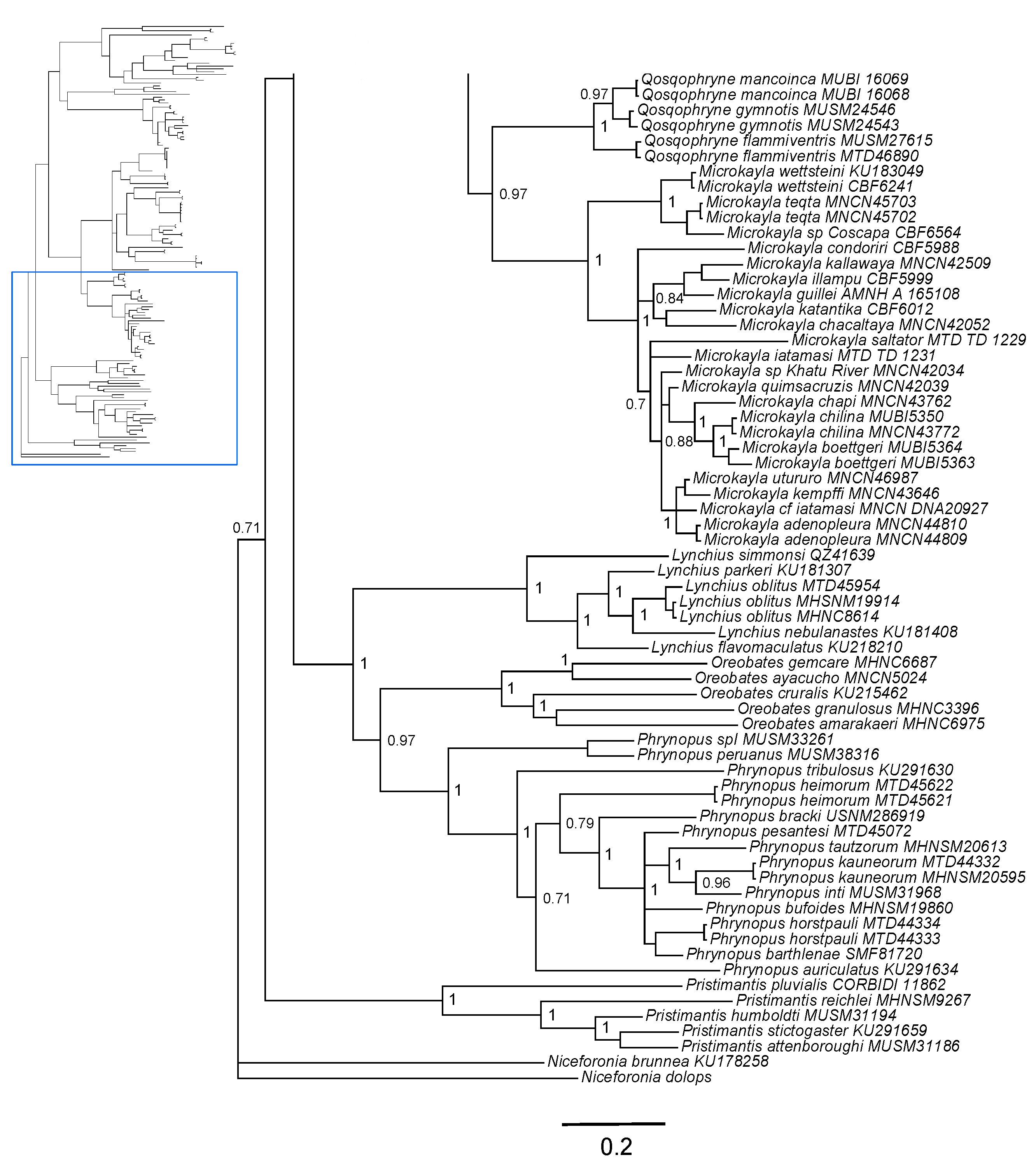 Diversity 16 00613 g001b Diversity 16 00613 g001b
