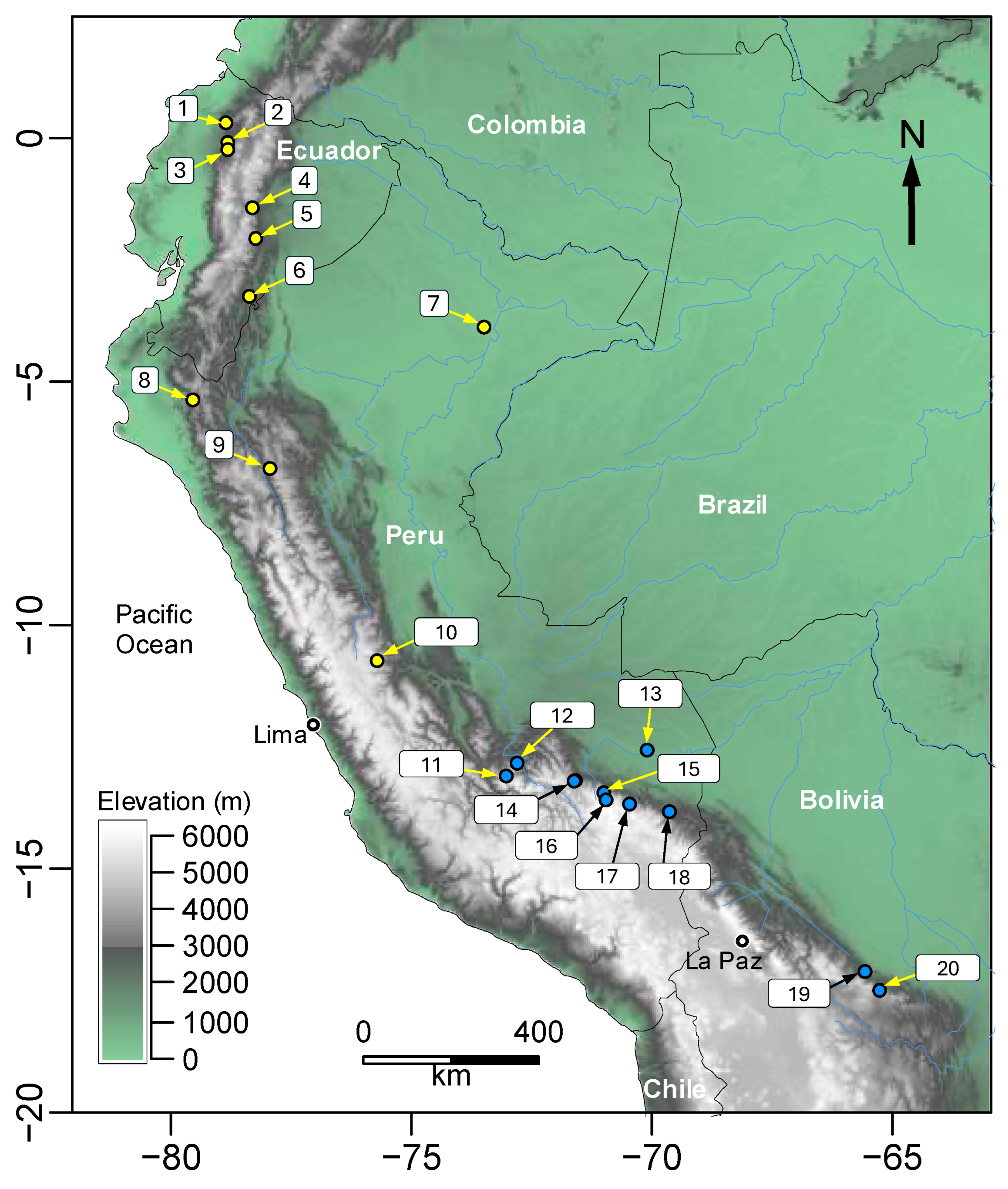 Diversity 16 00613 g004 Diversity 16 00613 g004