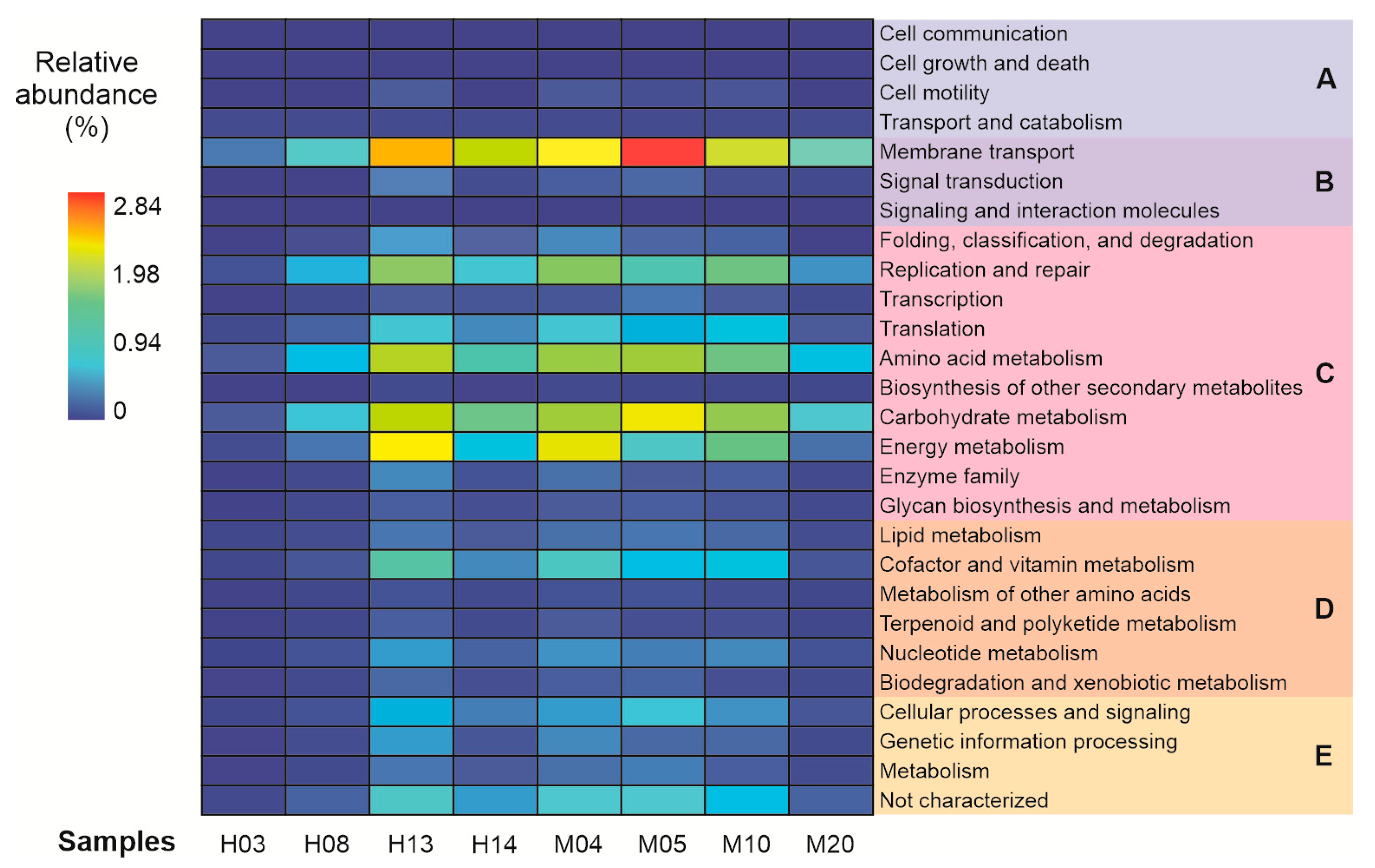 Diversity 16 00617 g004