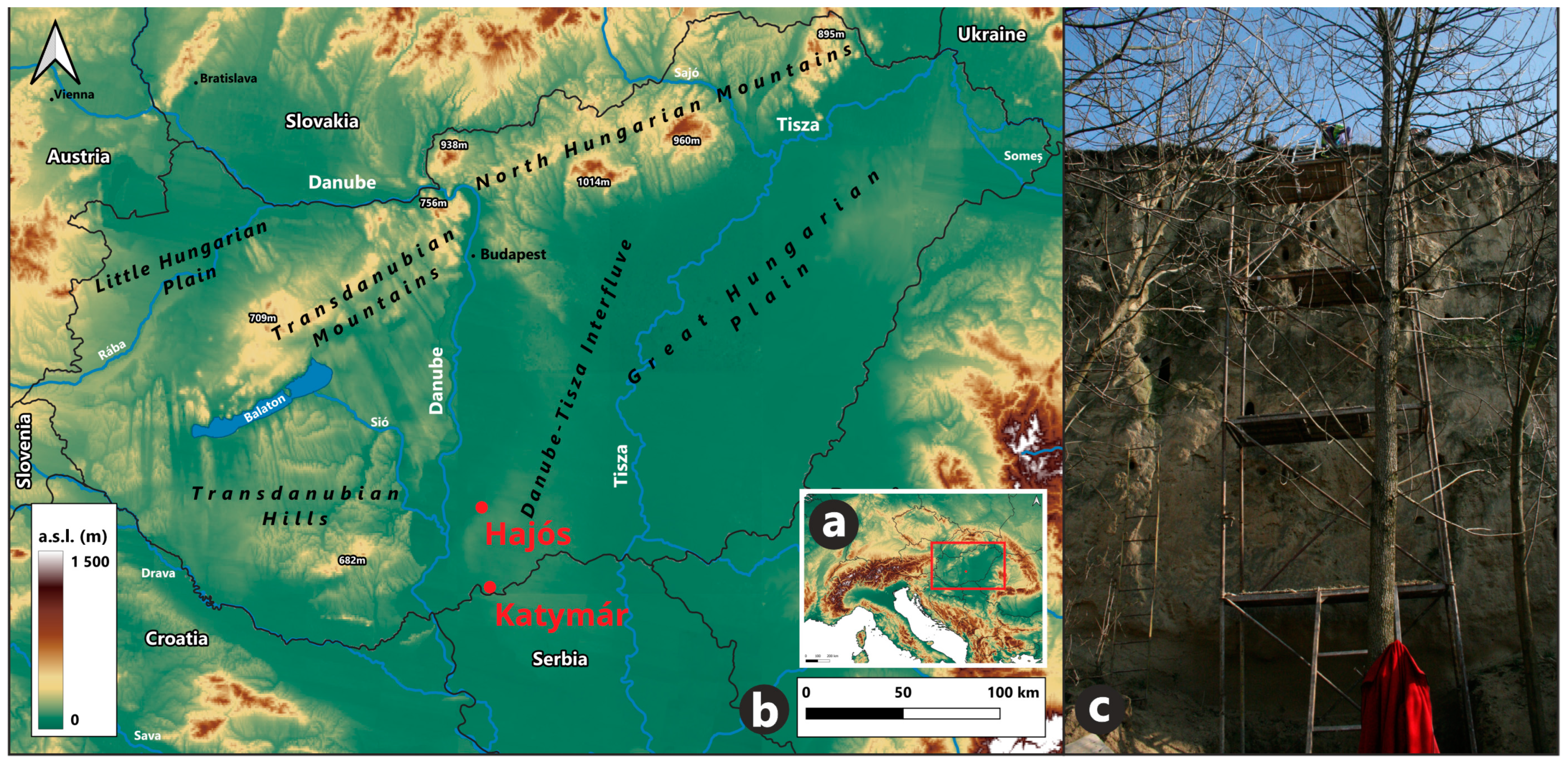 Diversity 16 00619 g001
