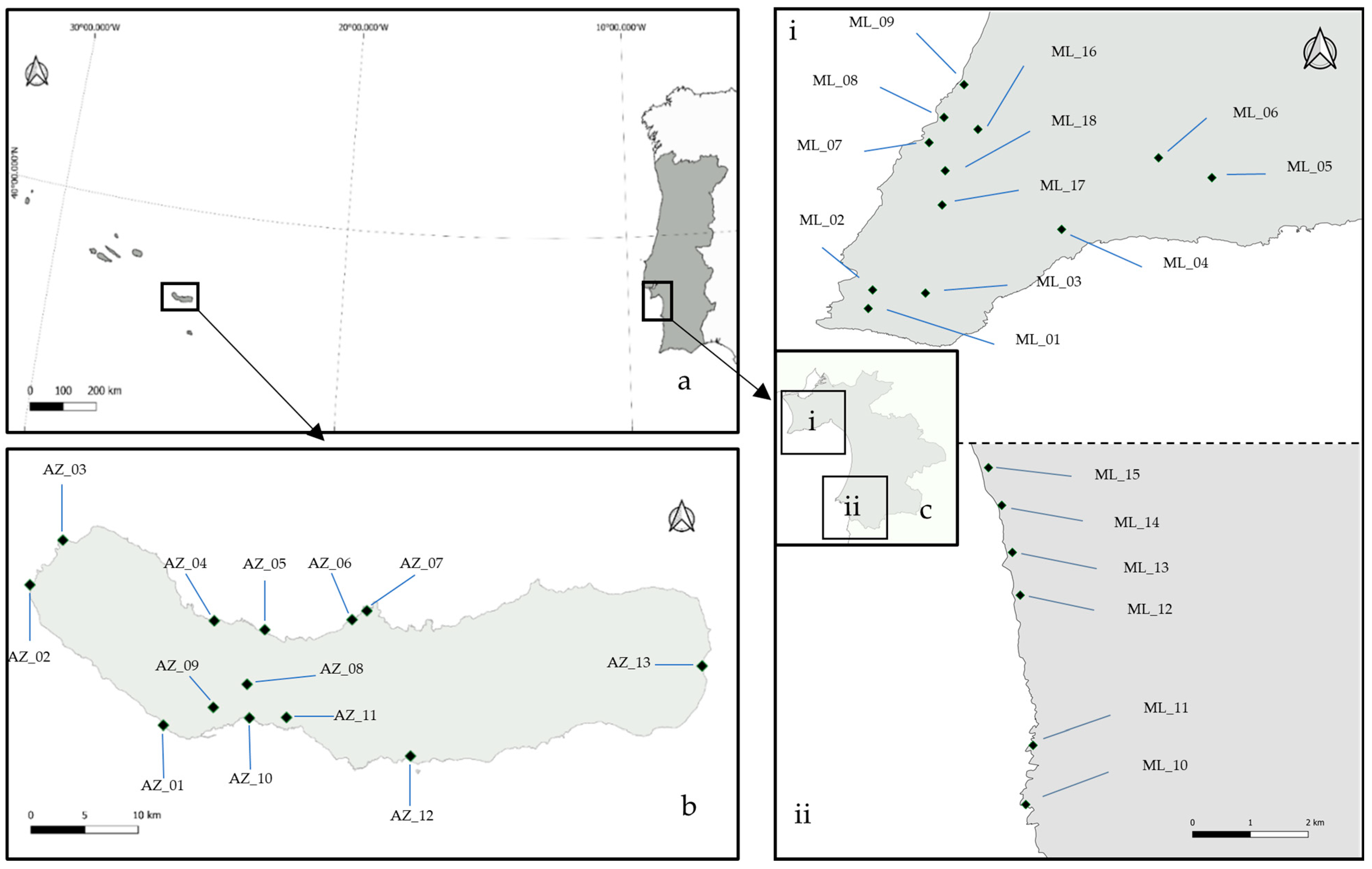 Diversity 16 00624 g001