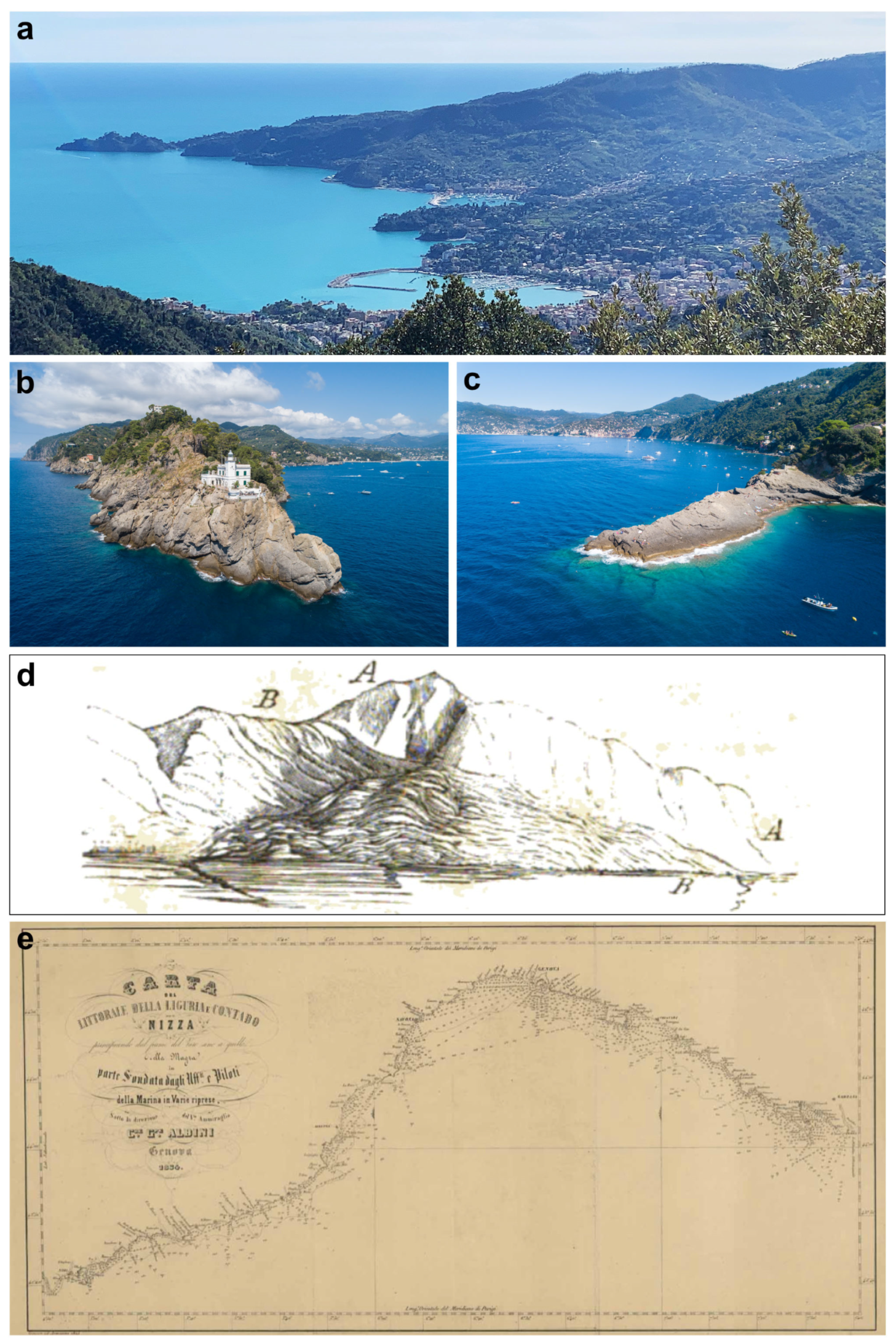 Diversity 16 00629 g001