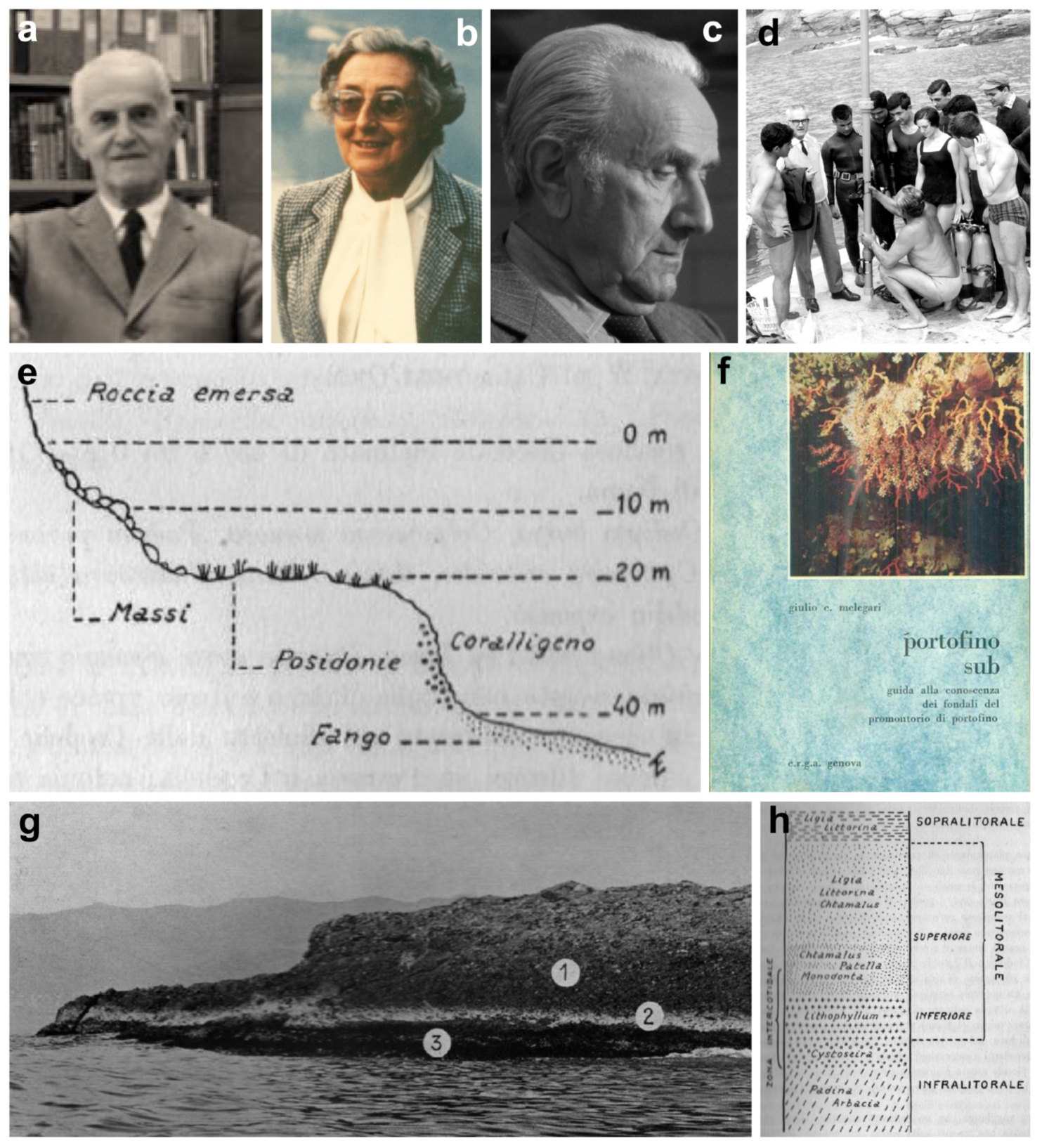 Diversity 16 00629 g003