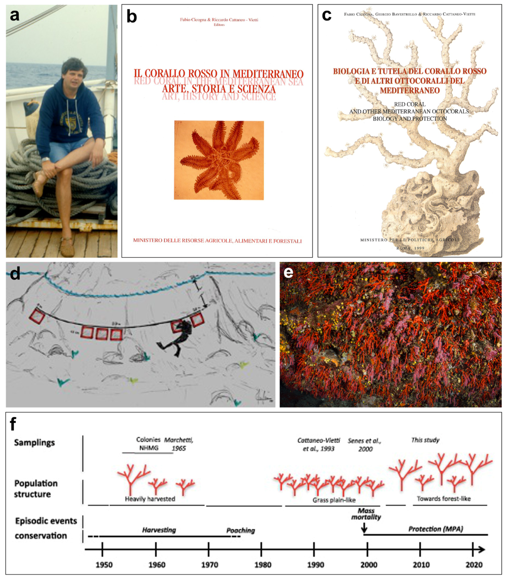 Diversity 16 00629 g011