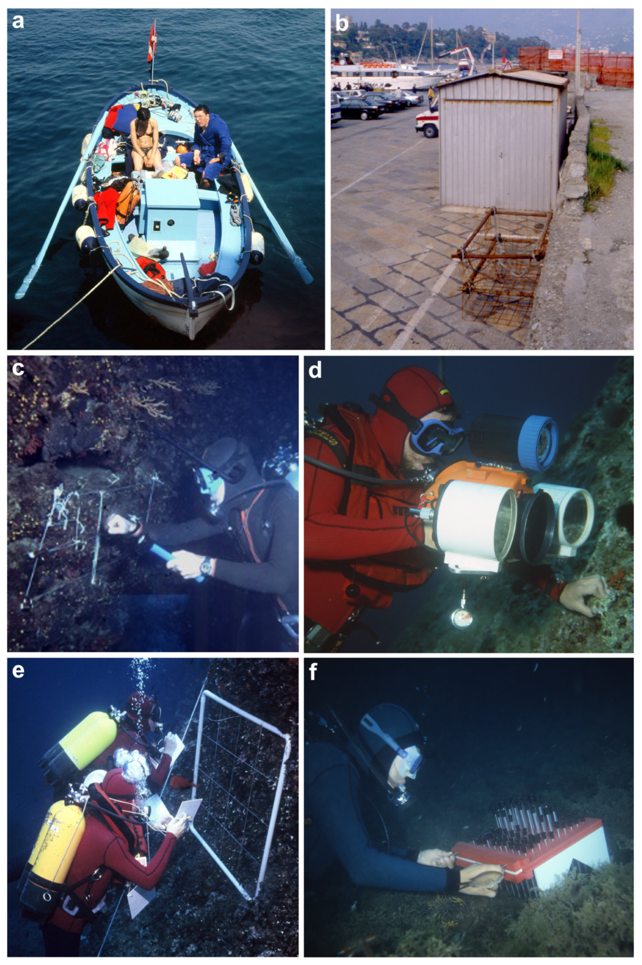 Diversity 16 00629 g016