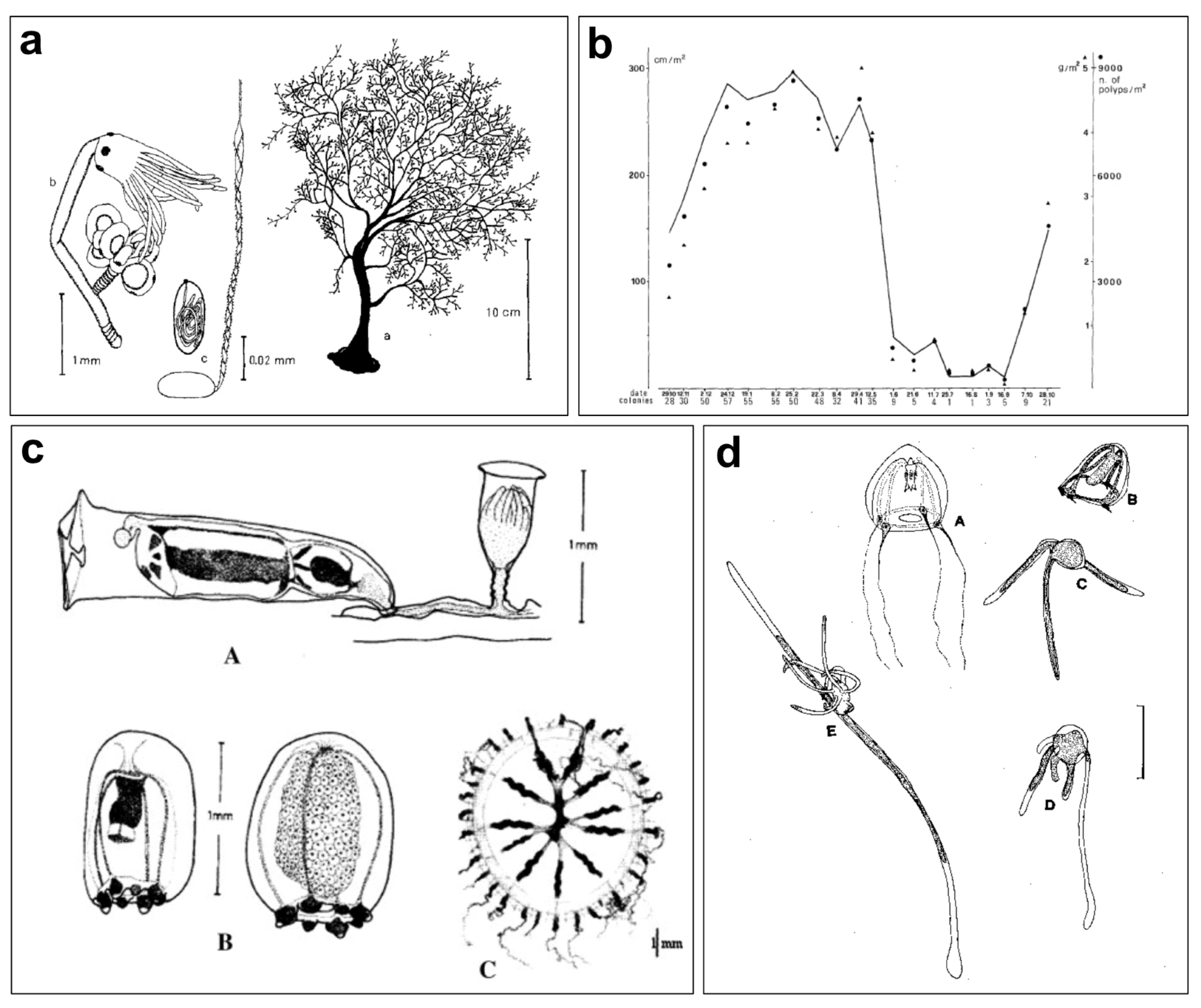 Diversity 16 00629 g018