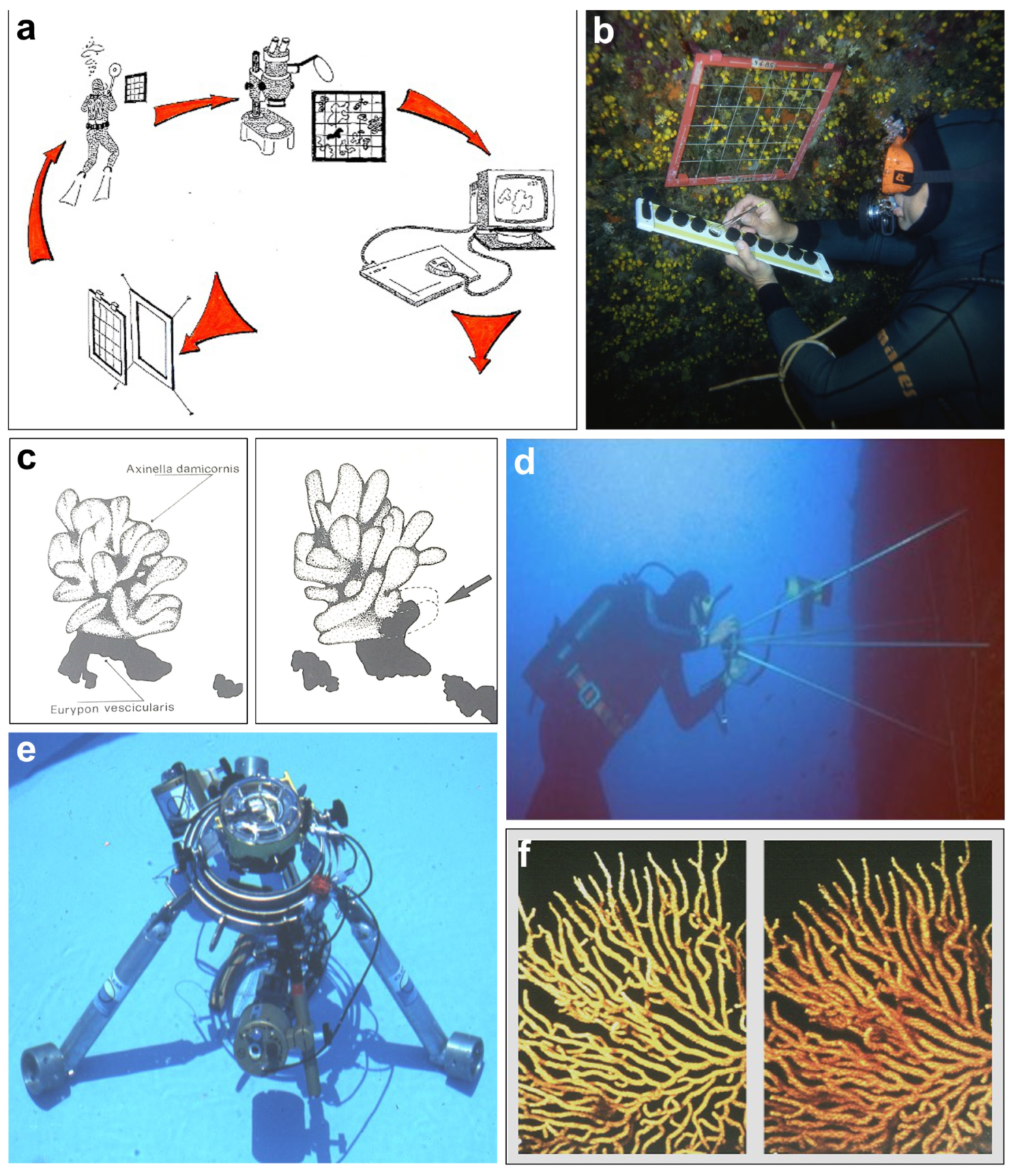 Diversity 16 00629 g019