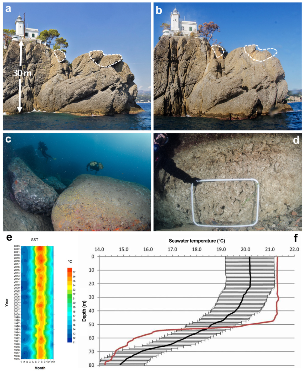 Diversity 16 00629 g026