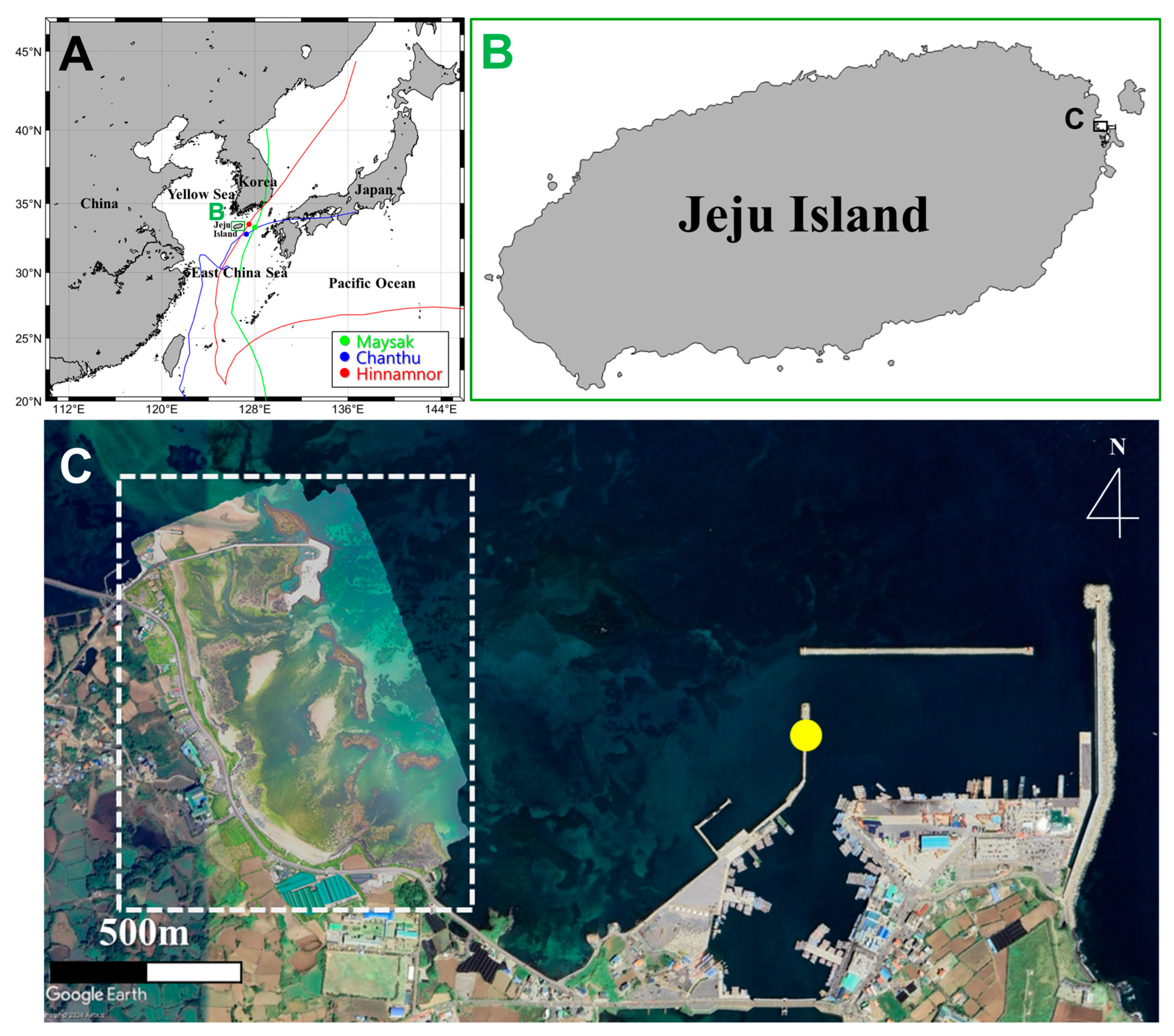 Diversity 16 00631 g003
