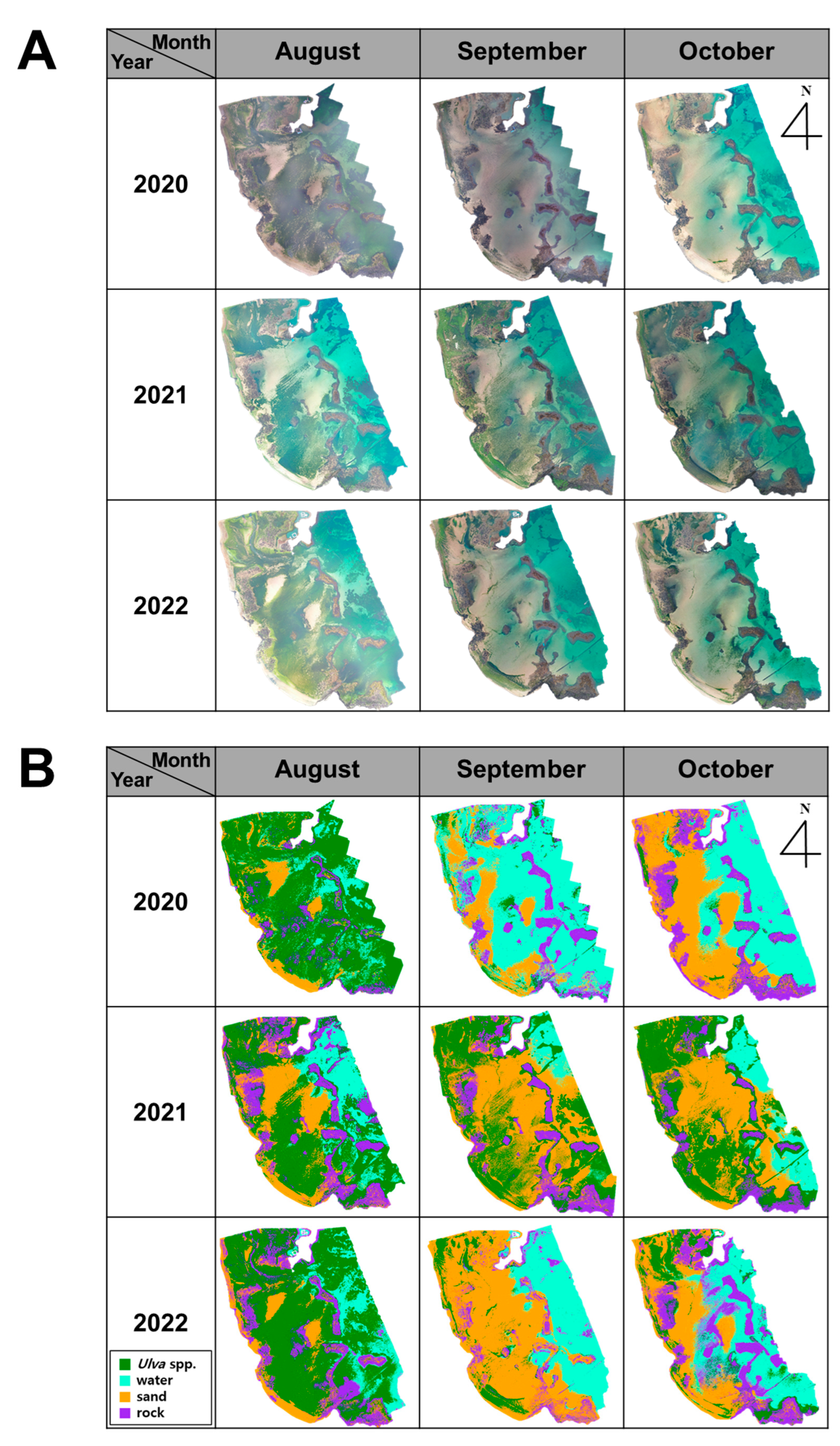 Diversity 16 00631 g004