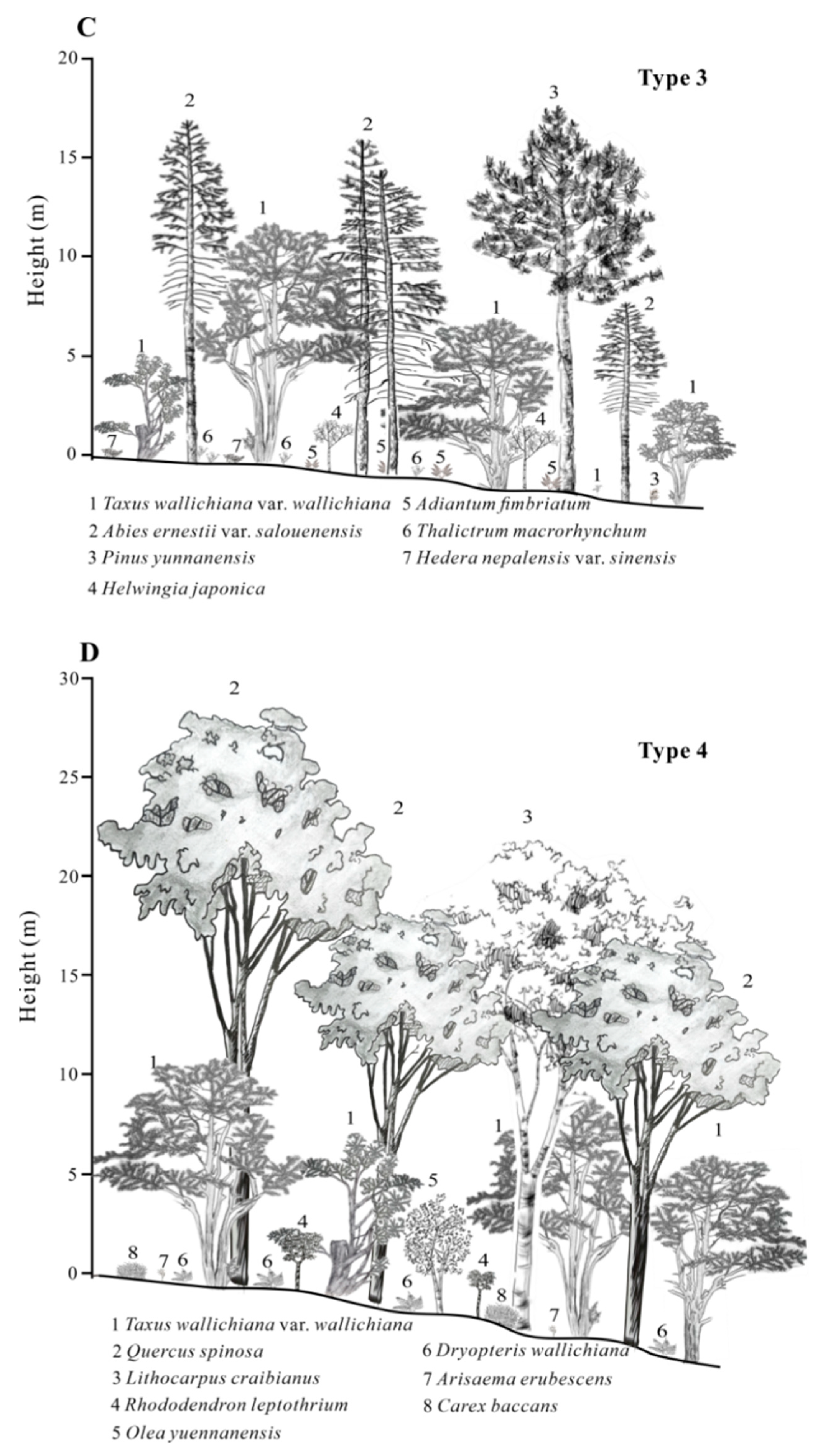 Diversity 16 00642 g003b