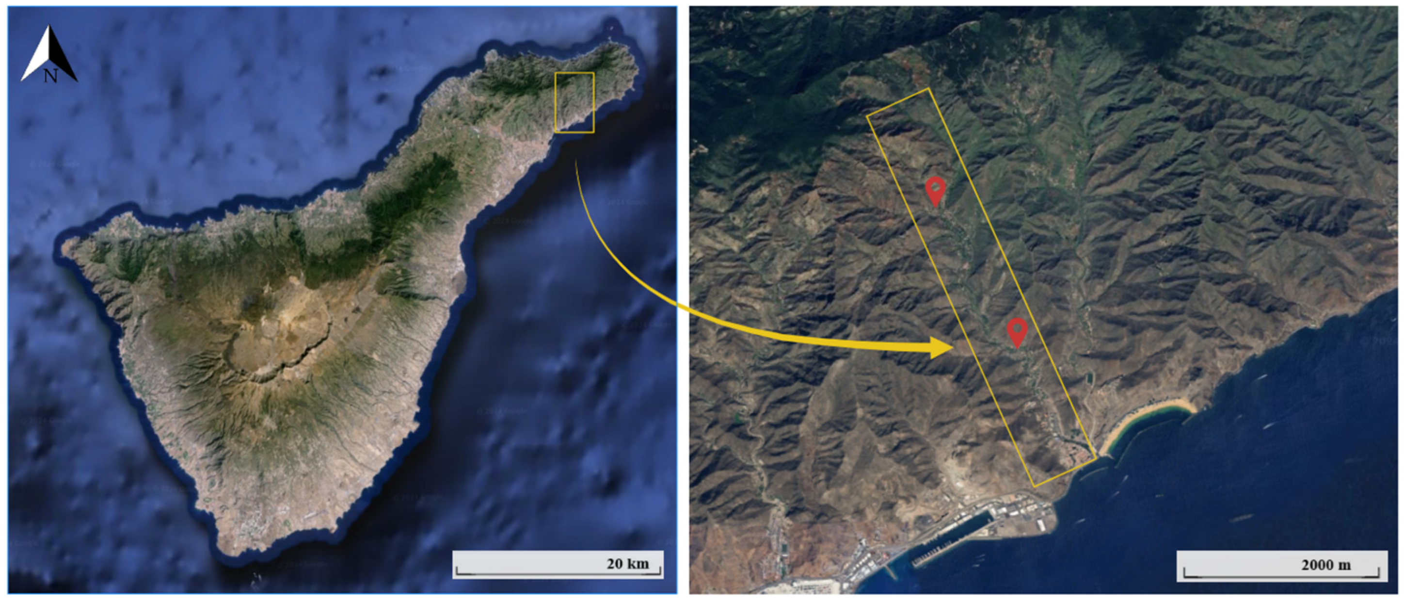 Diversity 16 00643 g001 Diversity 16 00643 g001