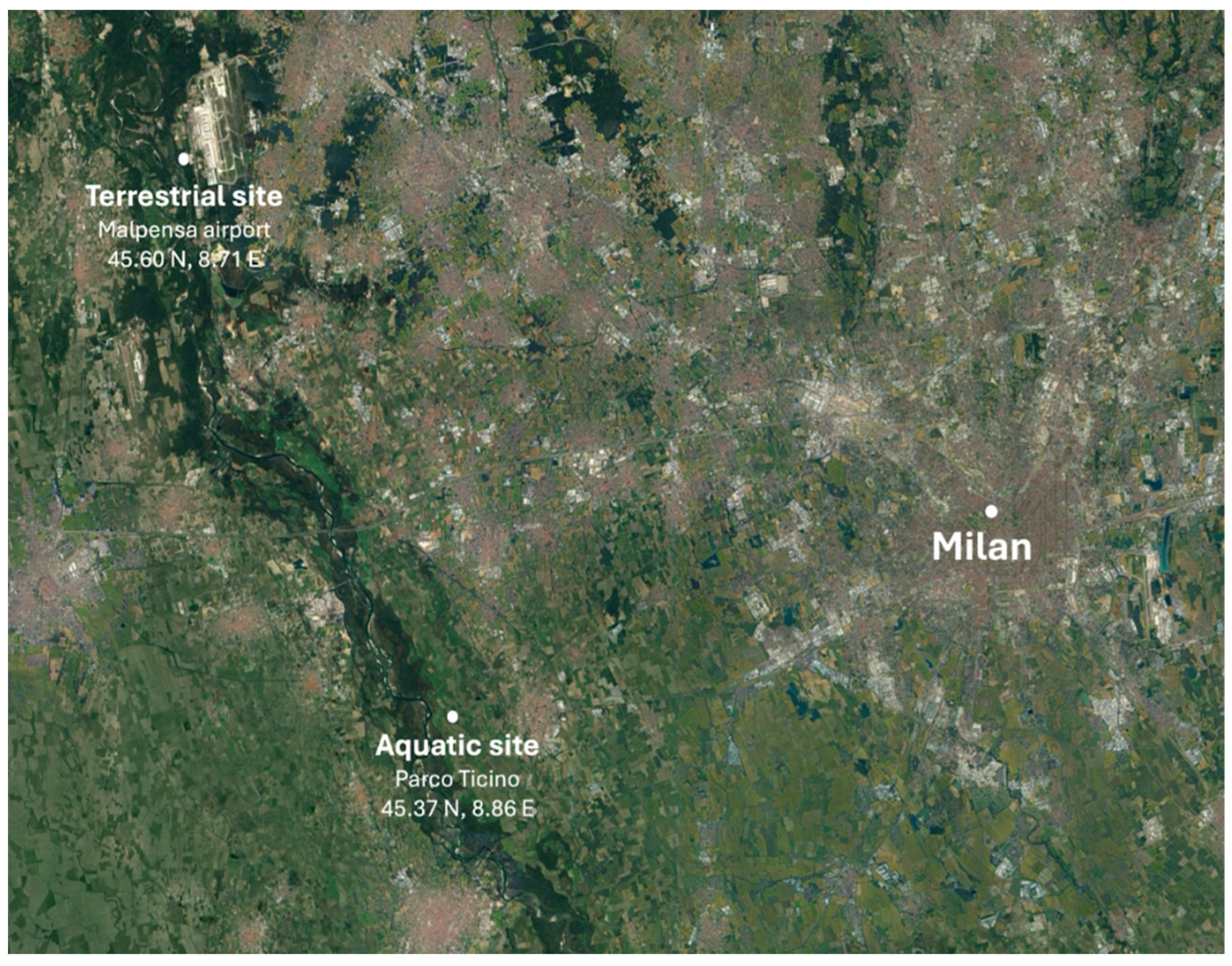 Diversity 16 00647 g001