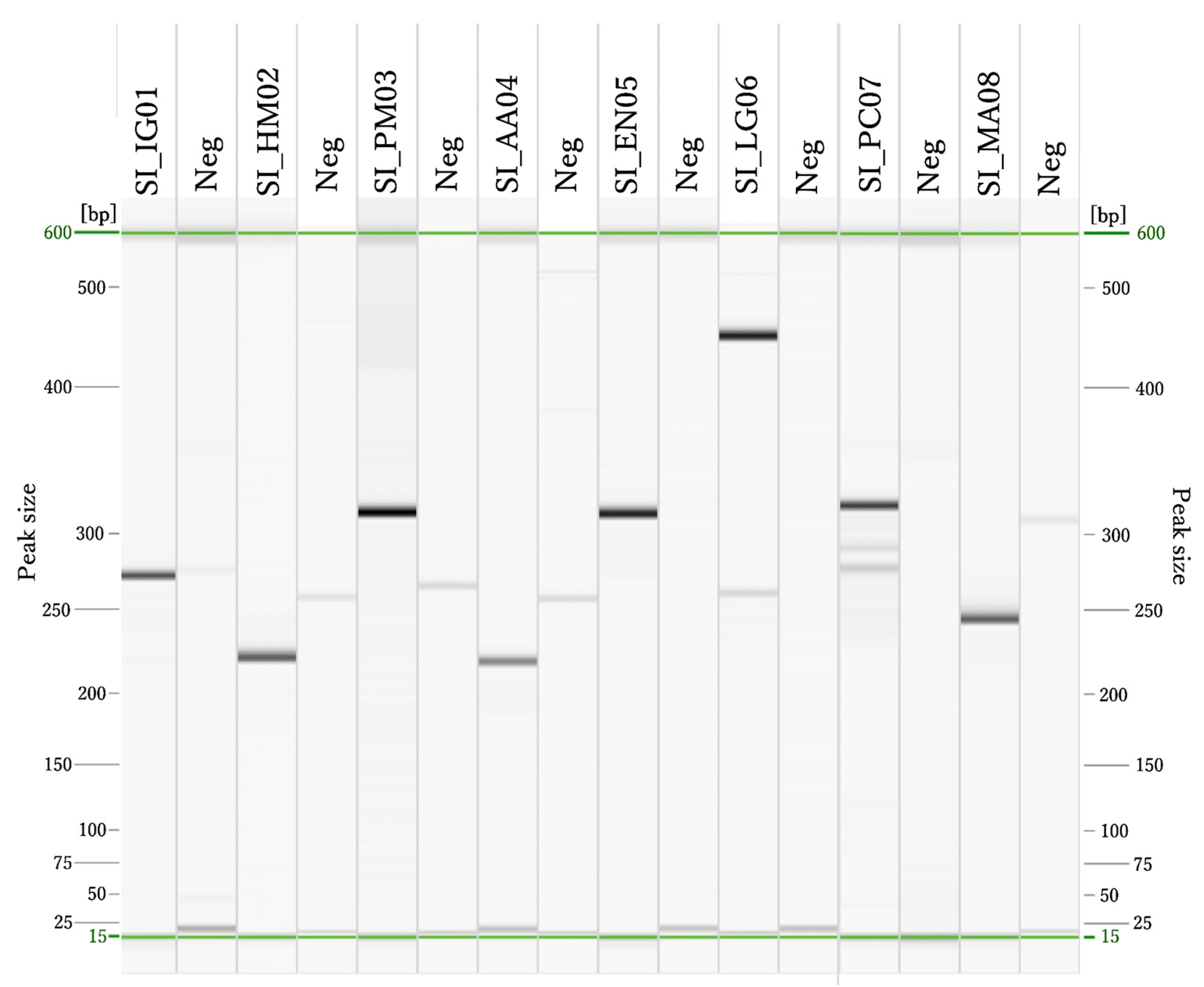 Diversity 16 00647 g002