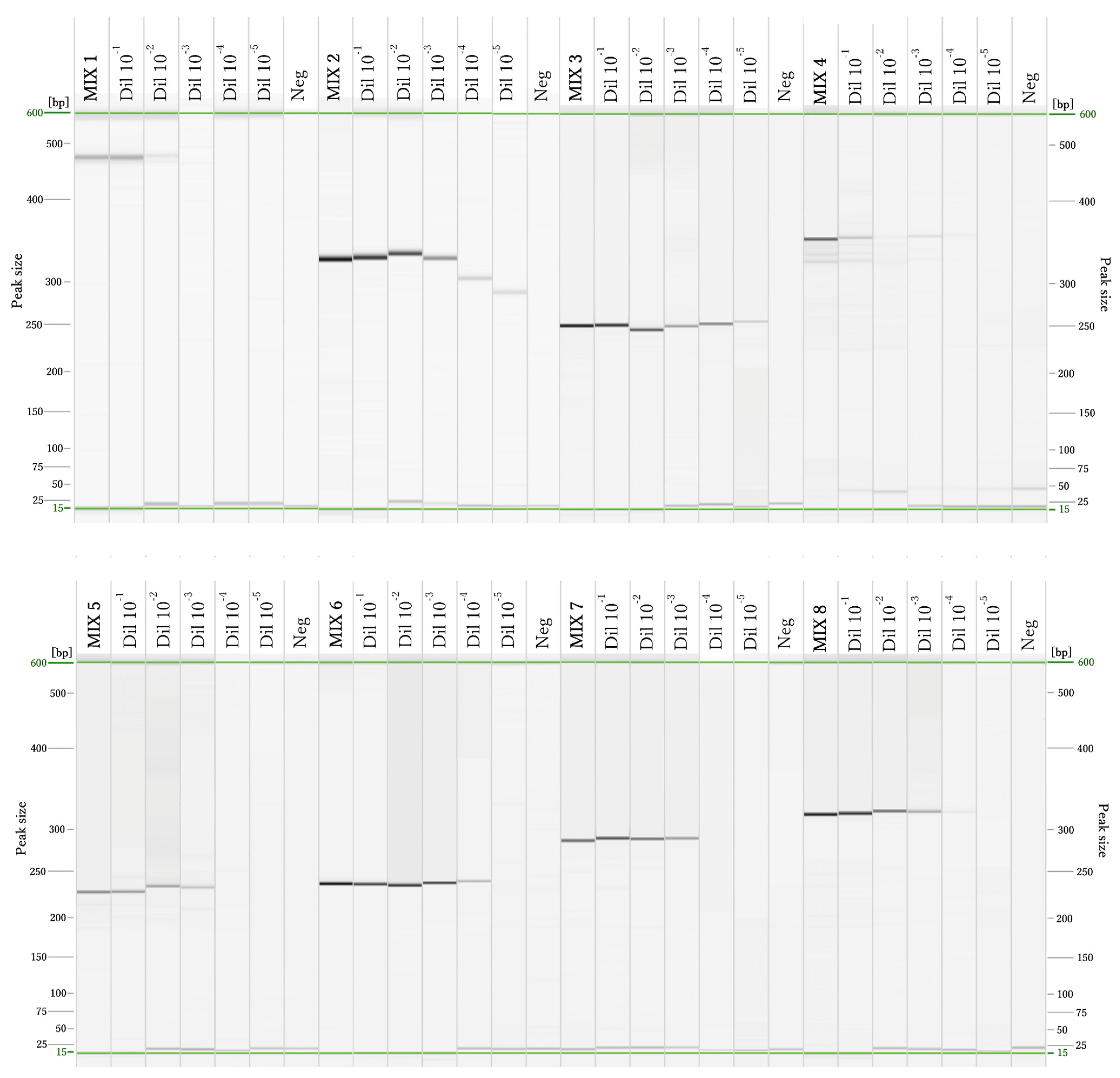 Diversity 16 00647 g003