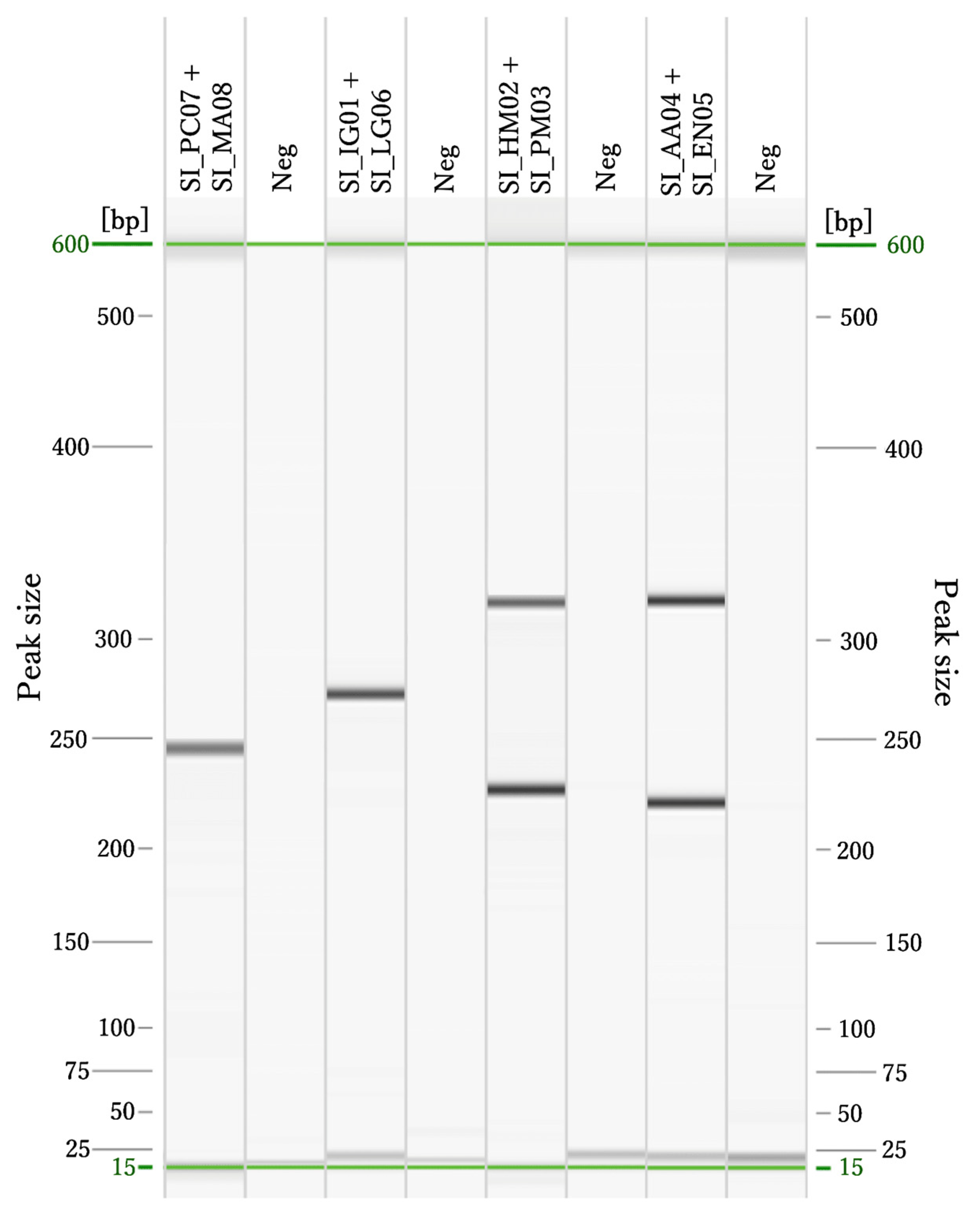 Diversity 16 00647 g004