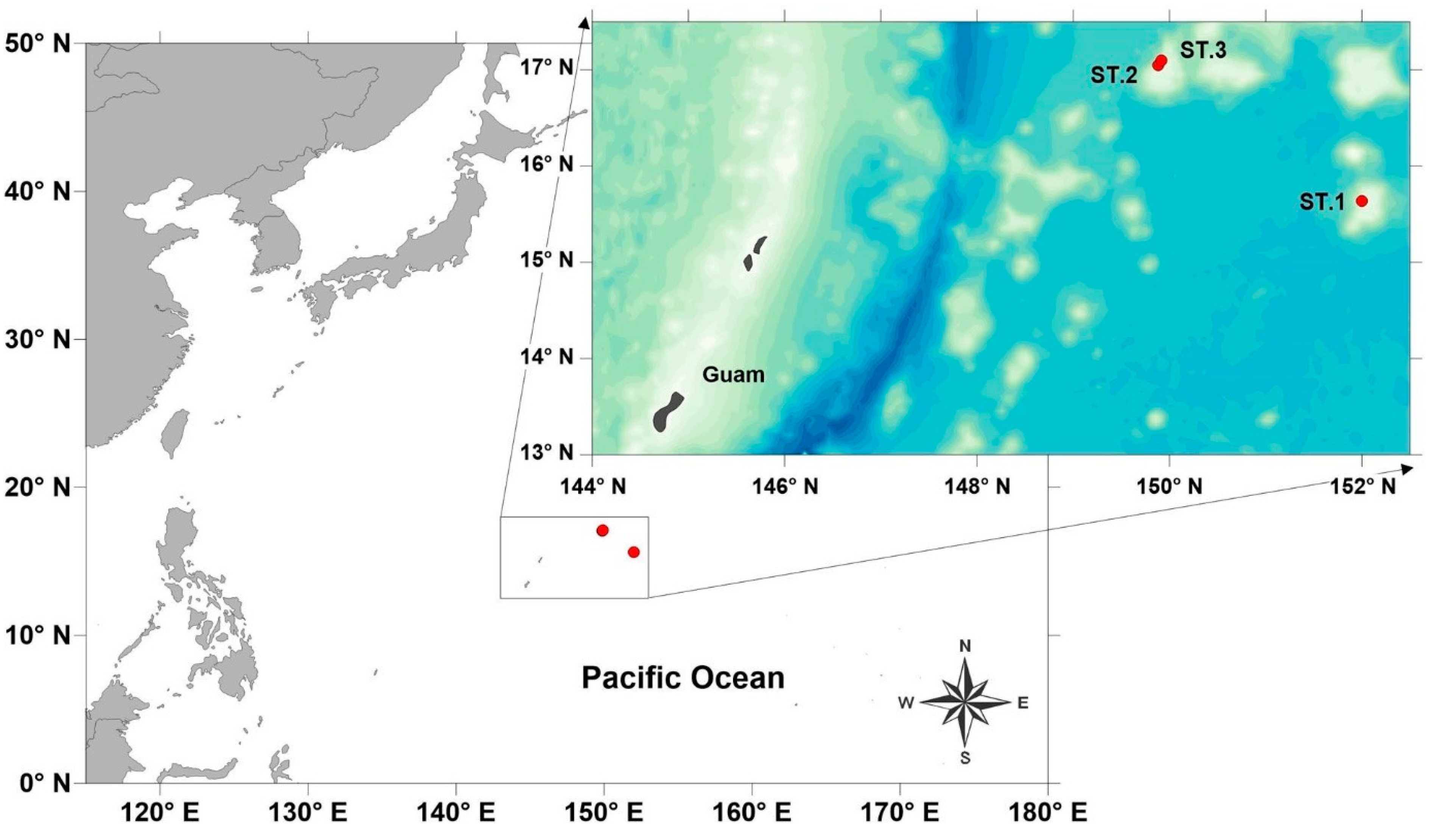 Diversity 16 00648 g001