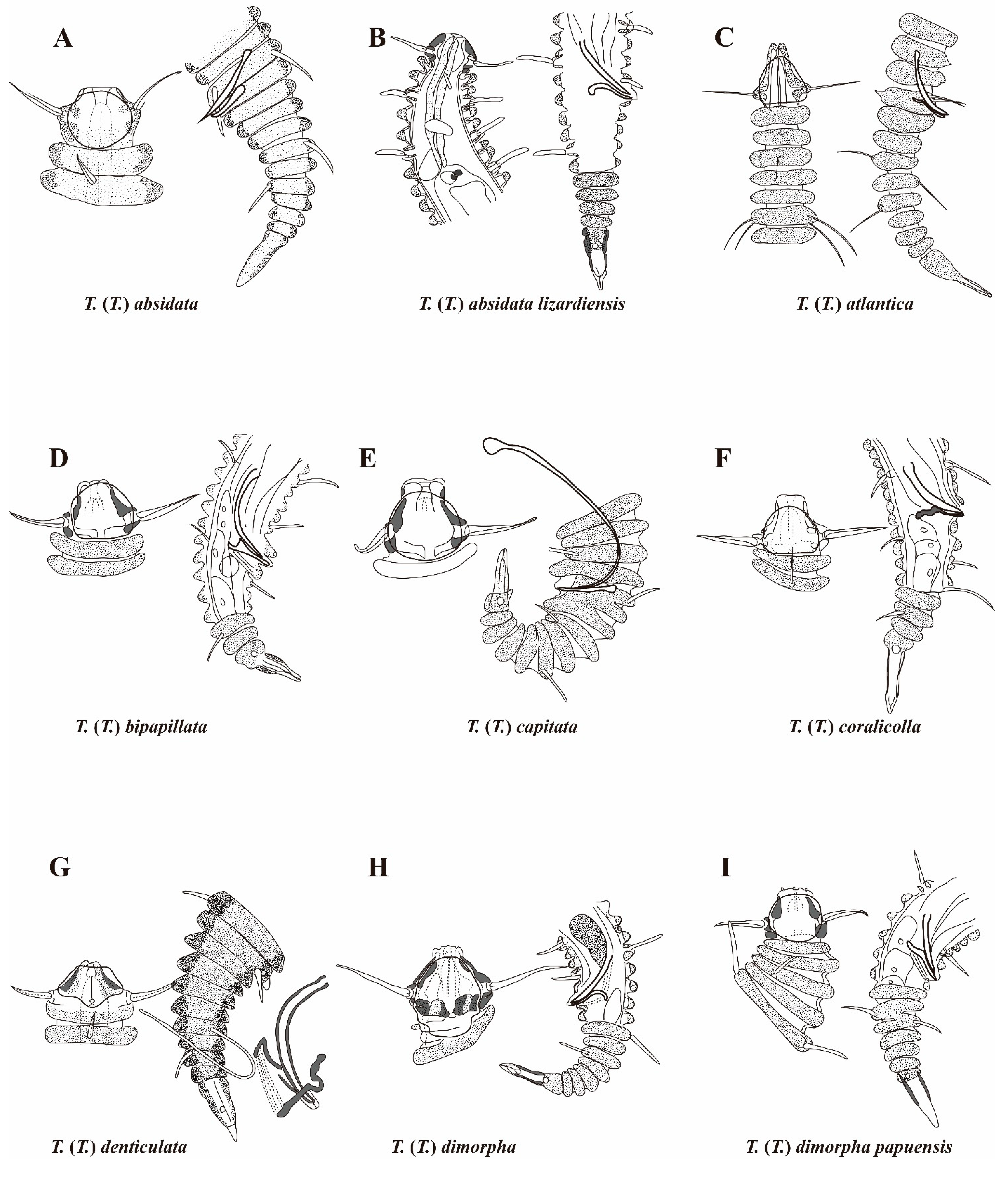 Diversity 16 00648 g008a