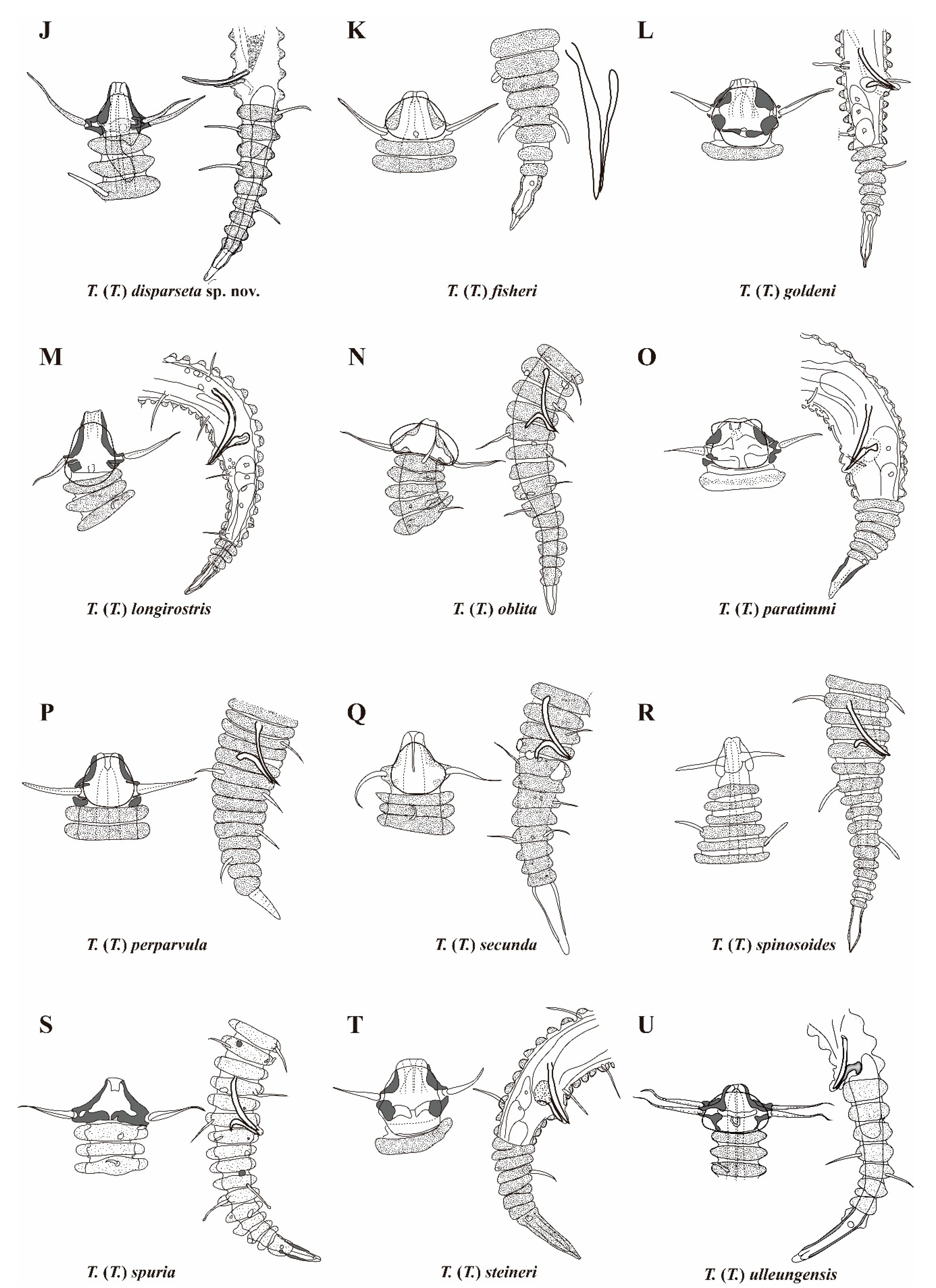 Diversity 16 00648 g008b