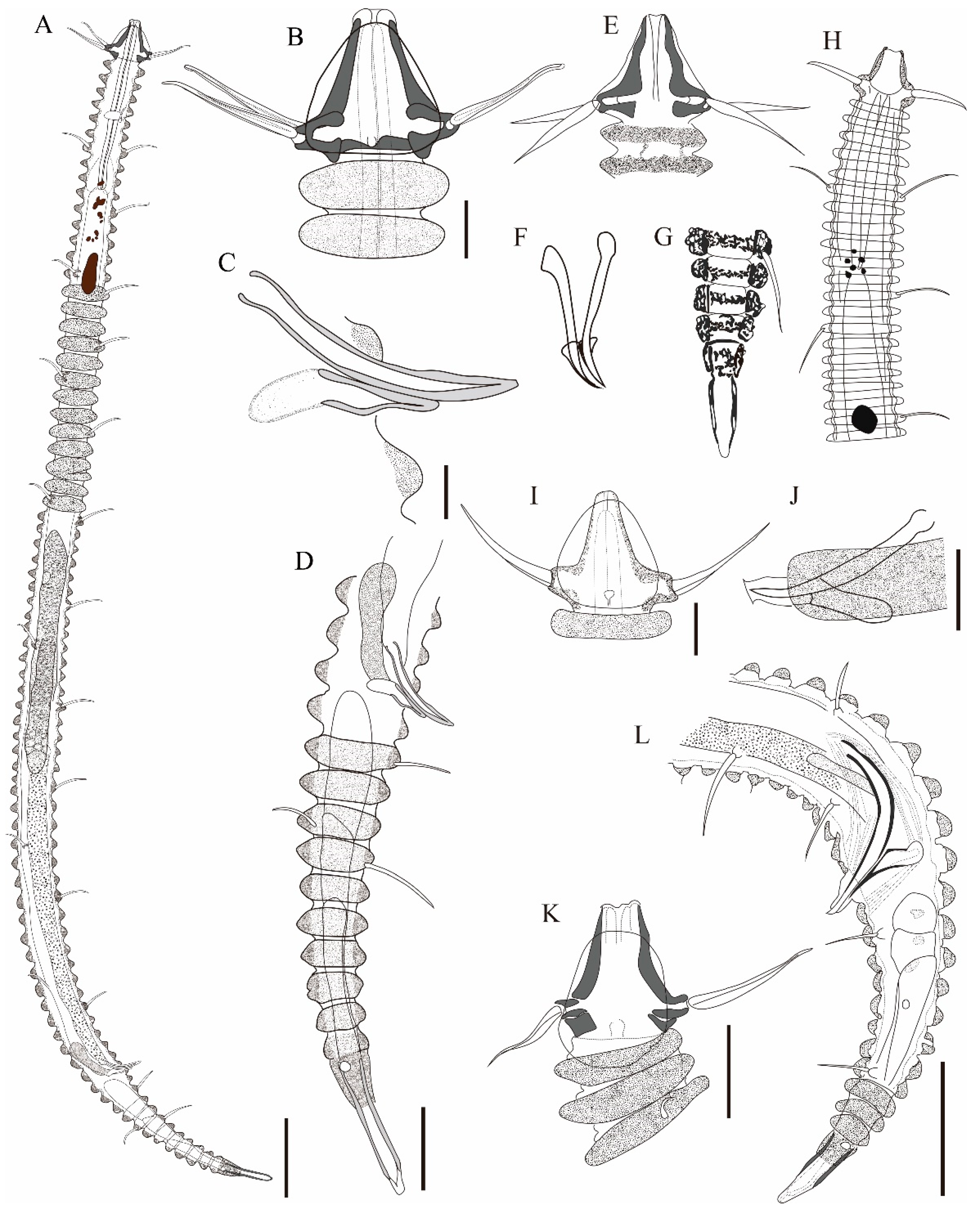 Diversity 16 00648 g009