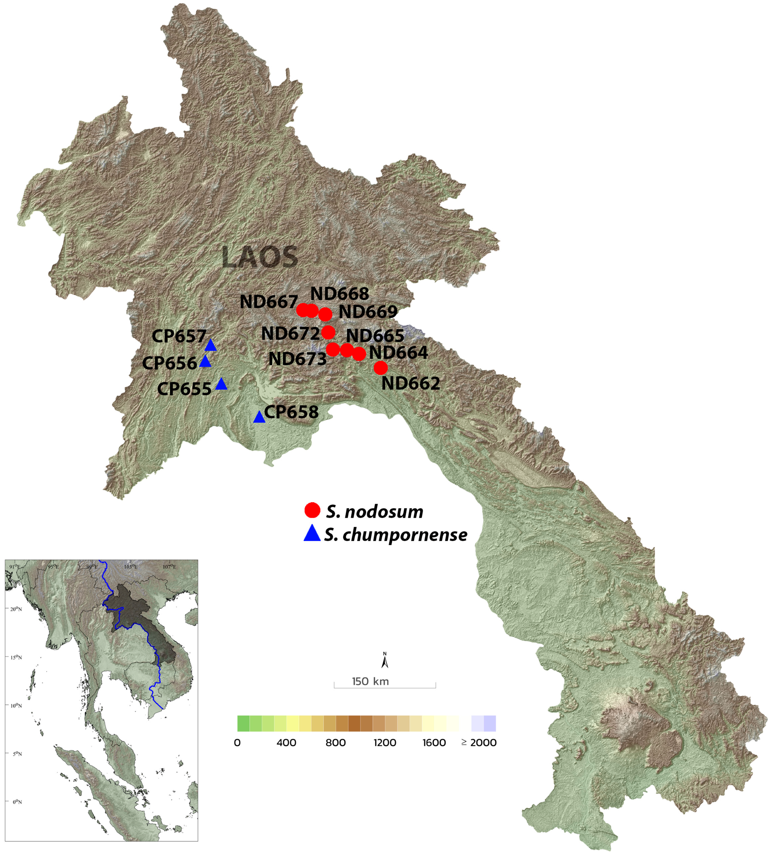 Diversity 16 00653 g001