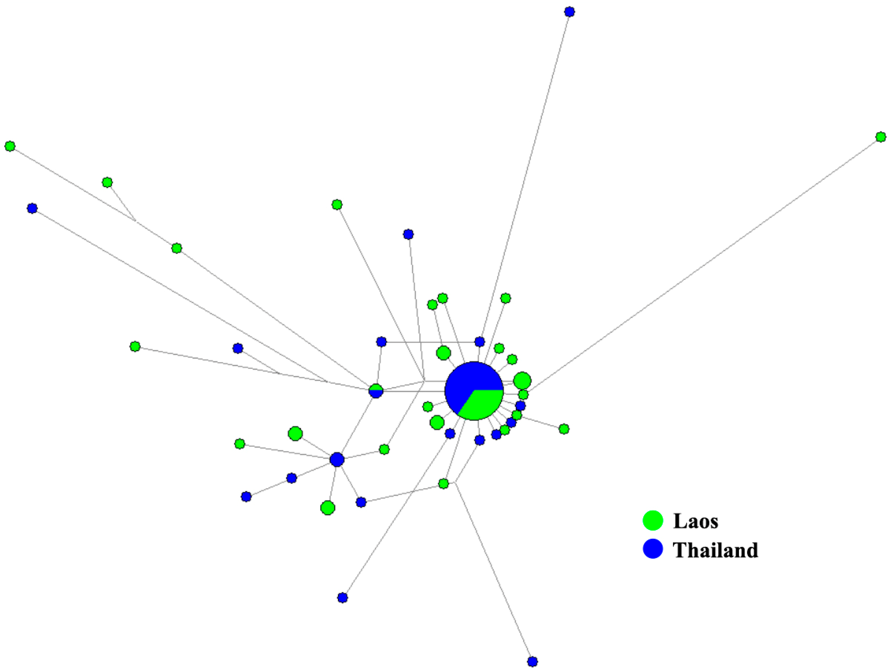 Diversity 16 00653 g004