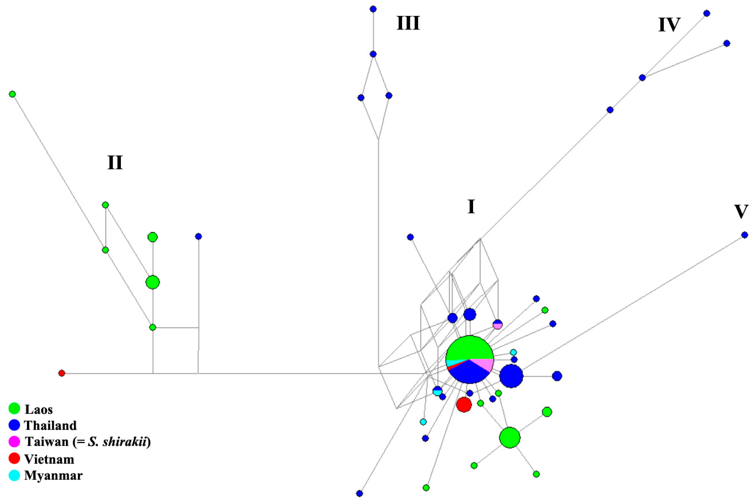 Diversity 16 00653 g006