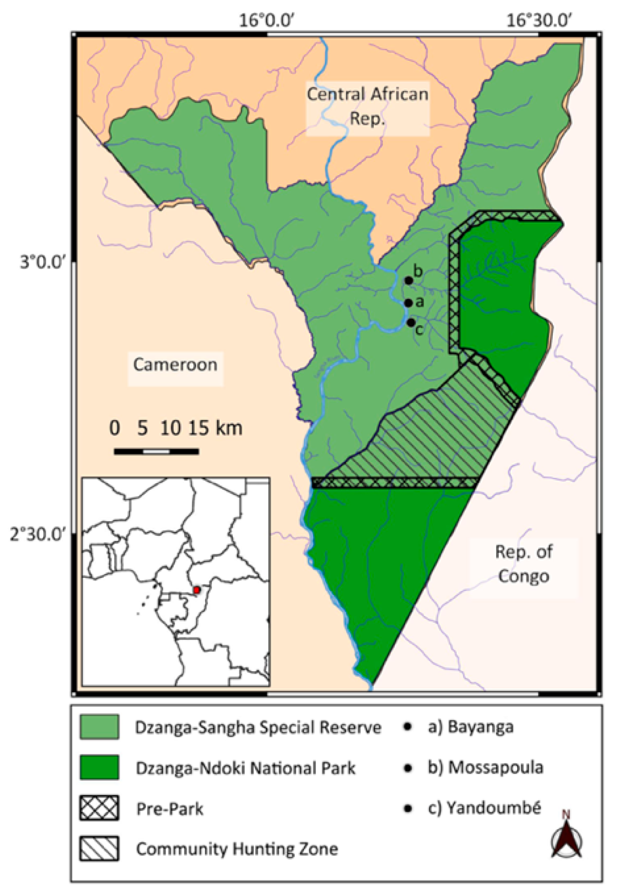 Diversity 16 00654 g001