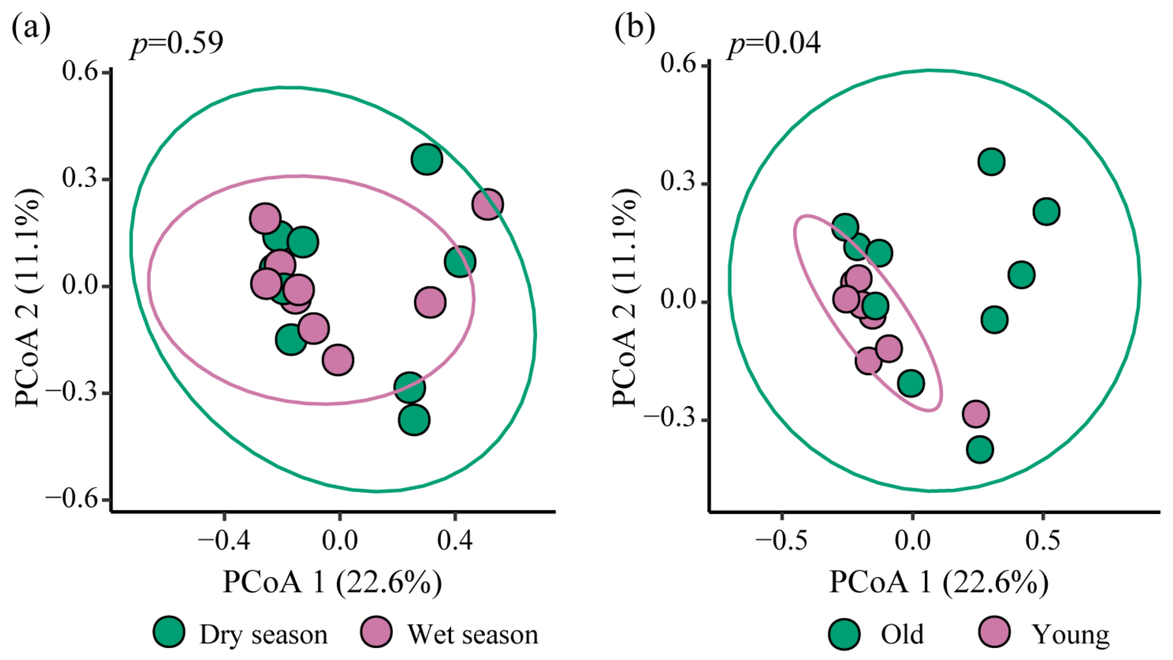 Diversity 16 00656 g006