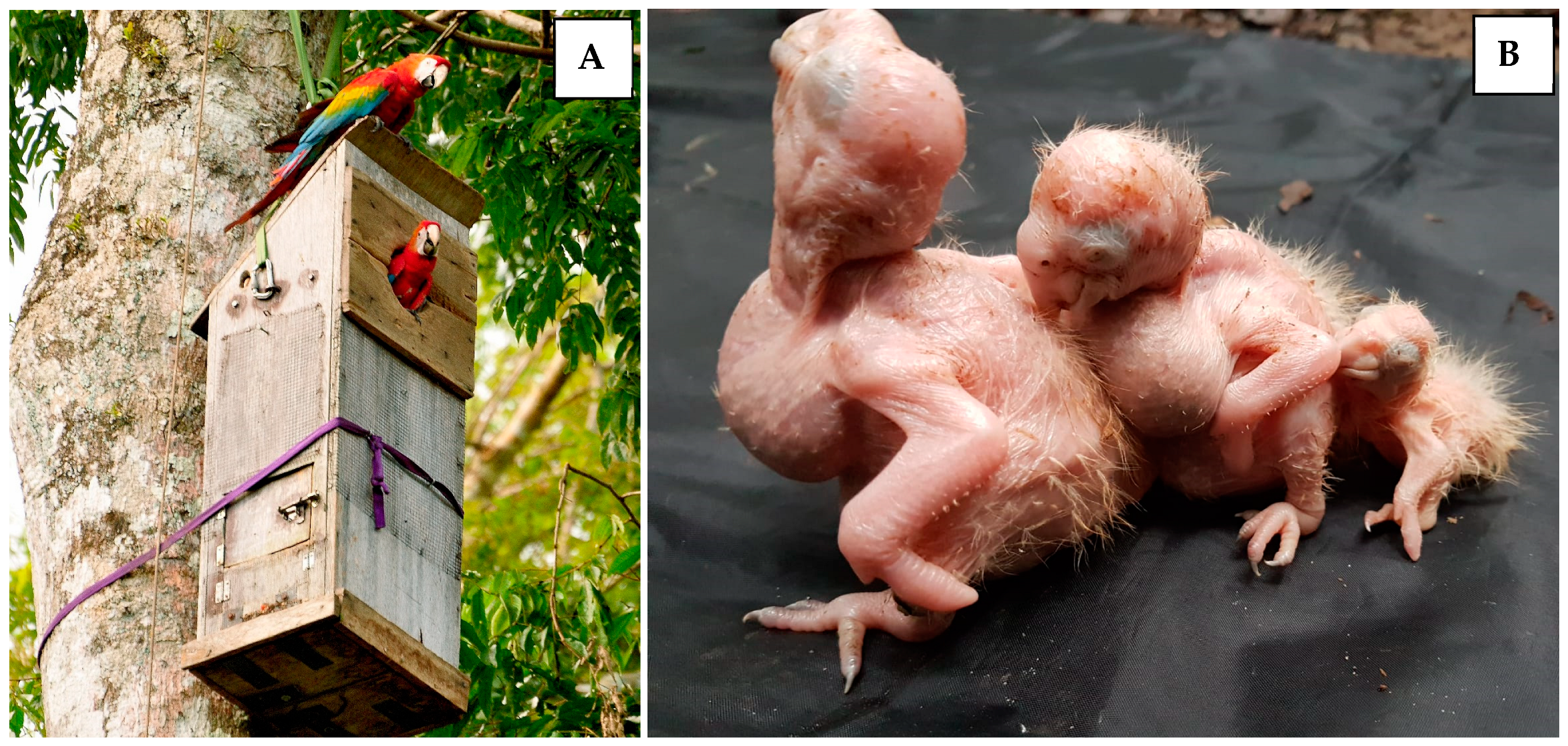 Diversity 16 00657 g001 Diversity 16 00657 g001